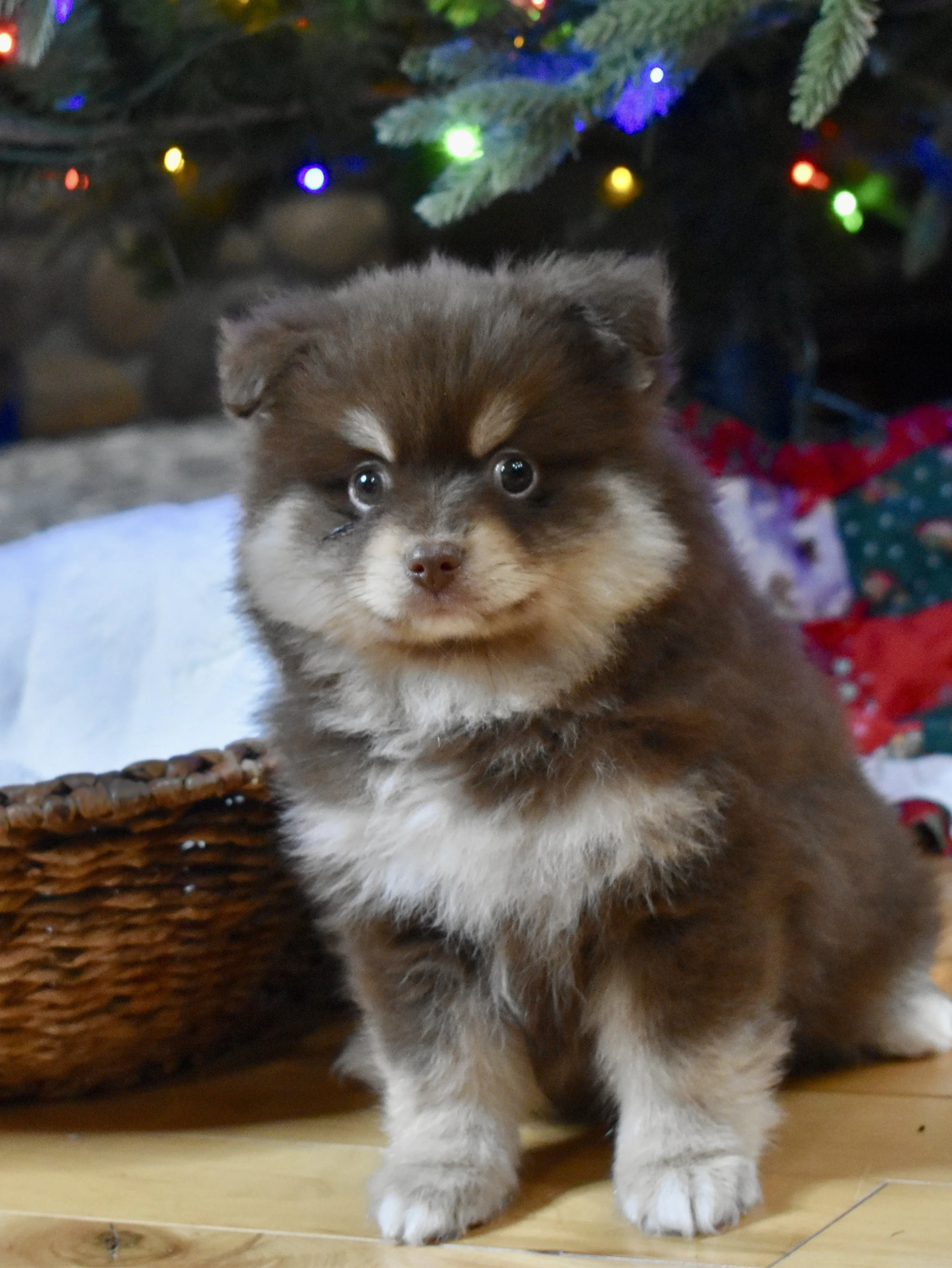 DSC_0513.jpg