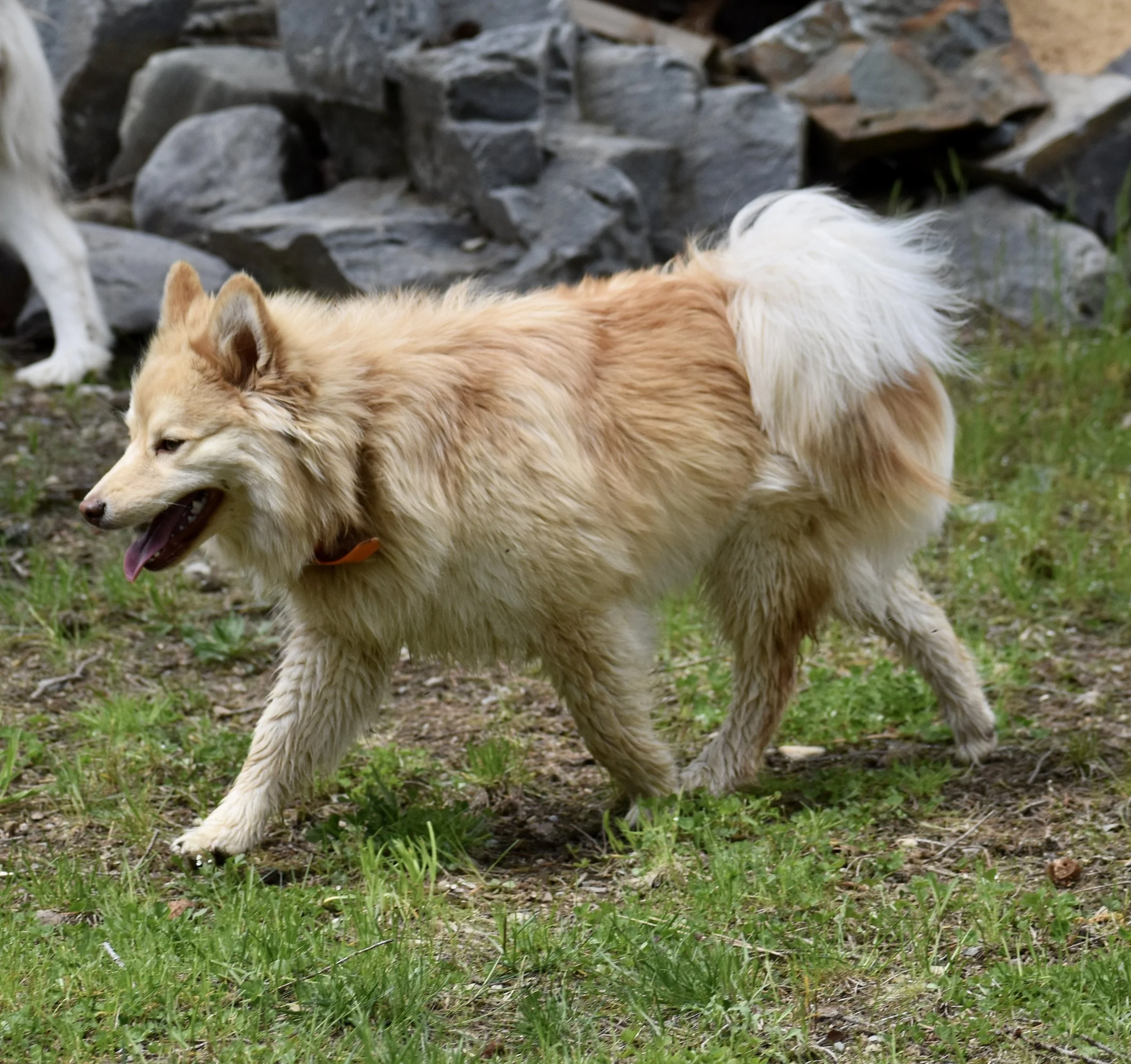 DSC_0071.jpg