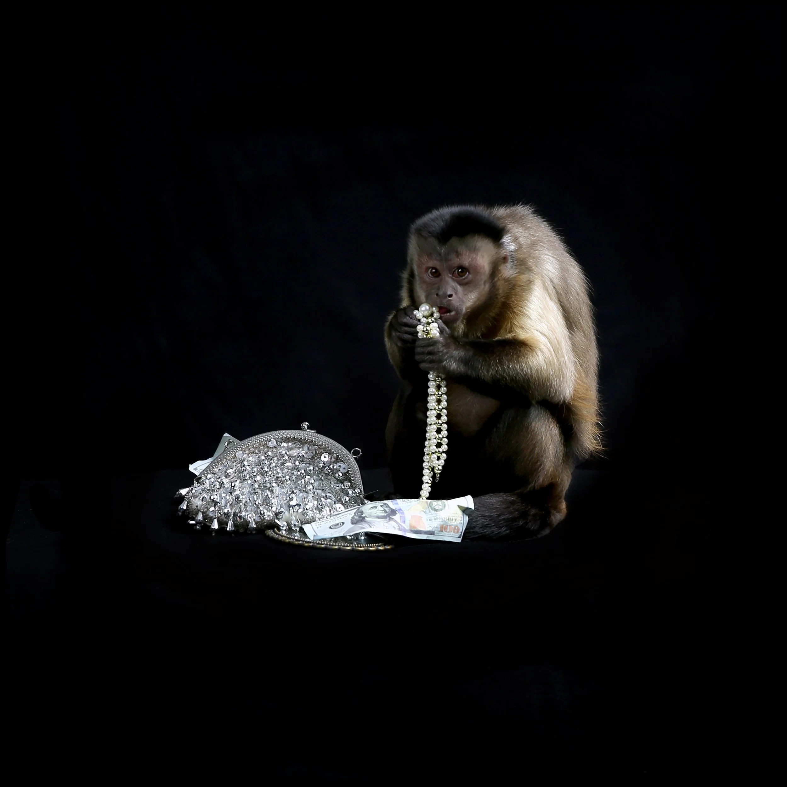 A monkey holding a pearl necklace, surrounded by diamond jewelry, with a 100 dollar bill on a black surface against a black background.