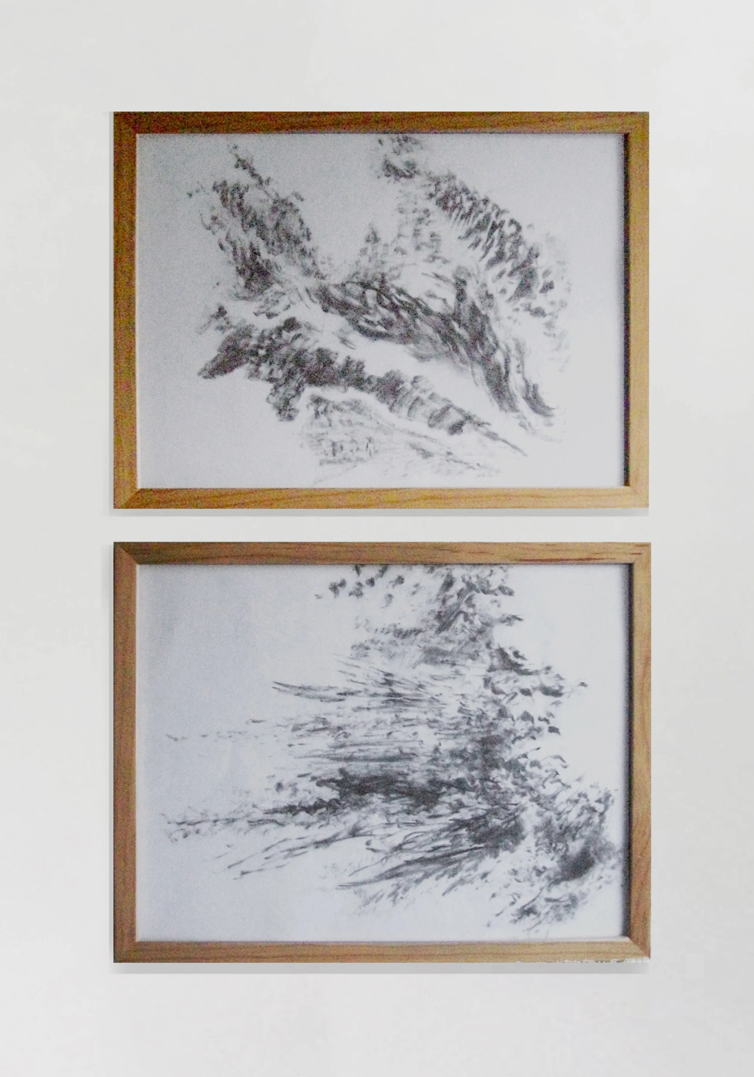 Two framed black and white nature sketches on a white wall. The top sketch depicts a cluster of leaves, and the bottom sketch shows trees and sparse foliage in a landscape scene.