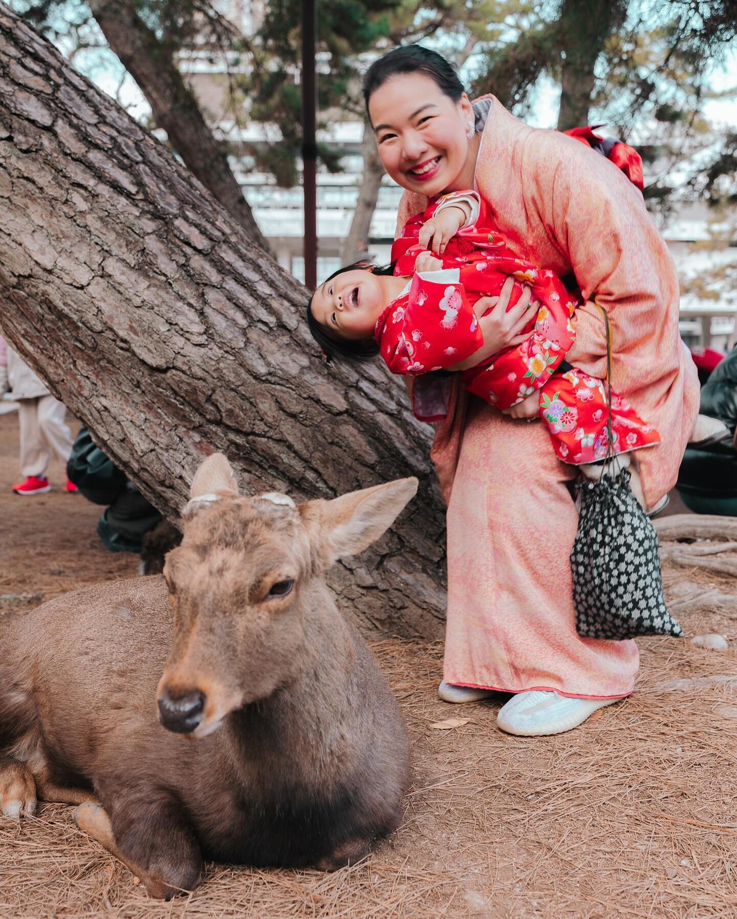 📣 NEW VIDEO! This week we&rsquo;re sharing our memorable time in the charming town of Nara Japan along with these cute little Sika Deers🦌

👘 We were able to wear traditional Japanese clothing called Kimonos and Yukatas for the day while roaming th