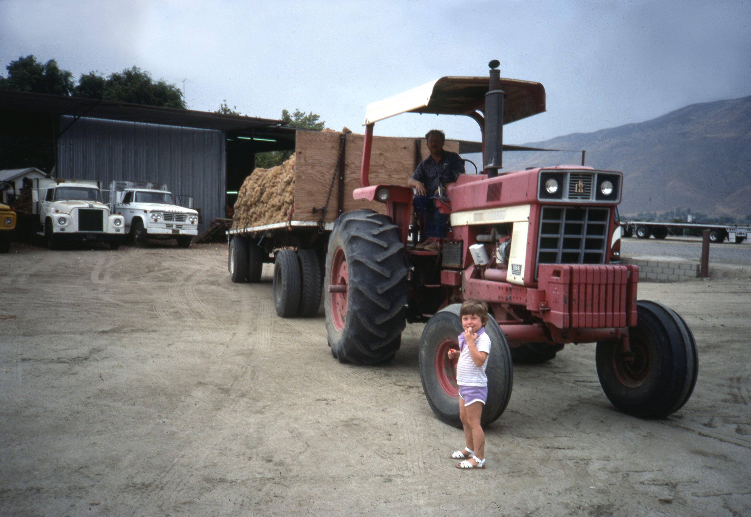 Tricia and Randy with a load of freshly harvested onions.