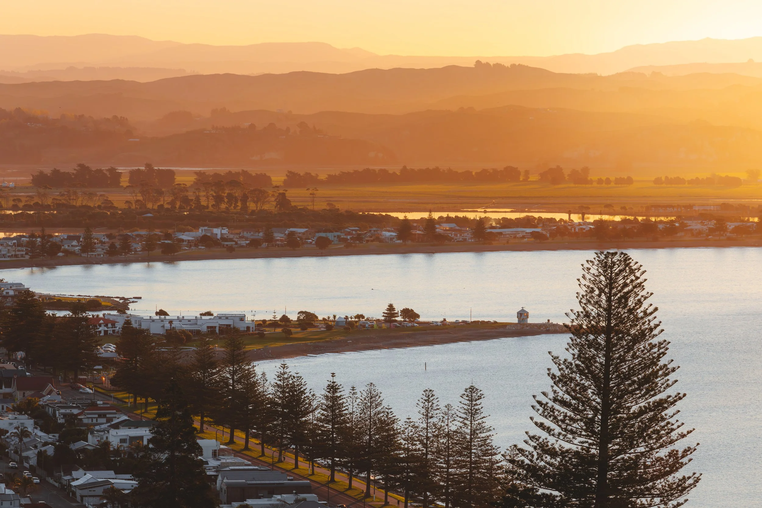 NAPIER UNCOVERED — UNO Magazine