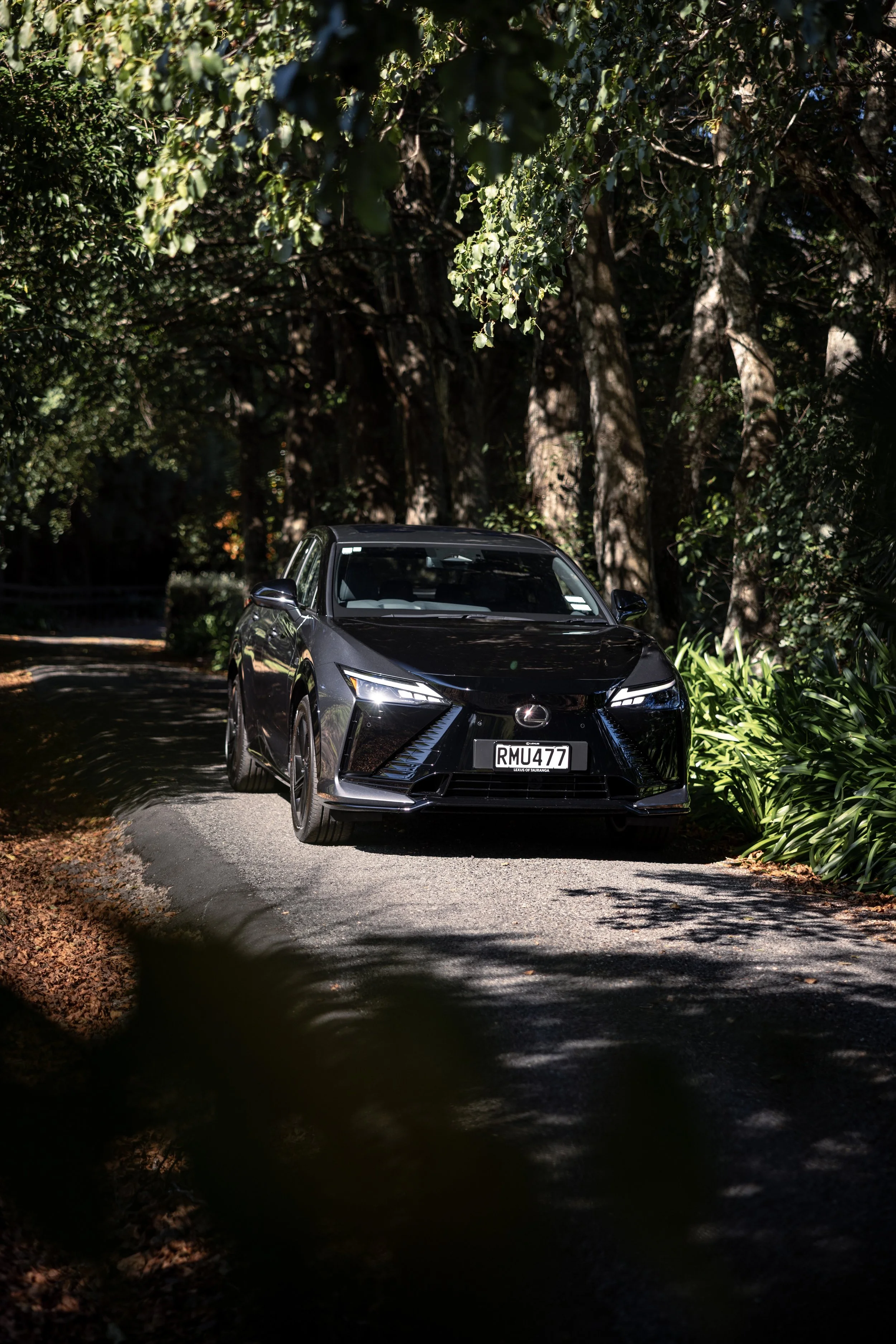 LexusRz-8.jpeg