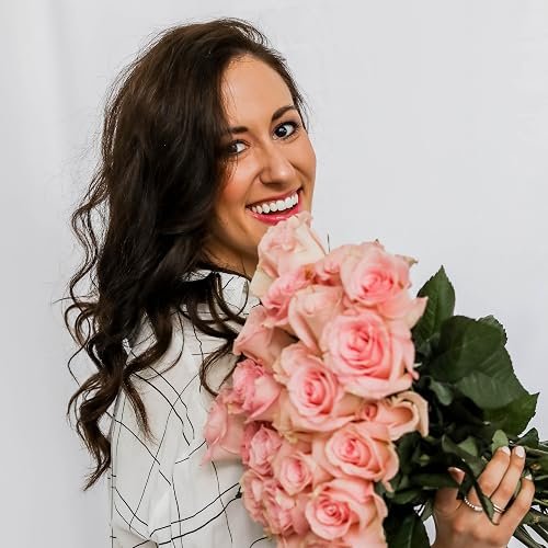 Episode 442.  Replacing Lies with God's Truth Erica Ligenza
