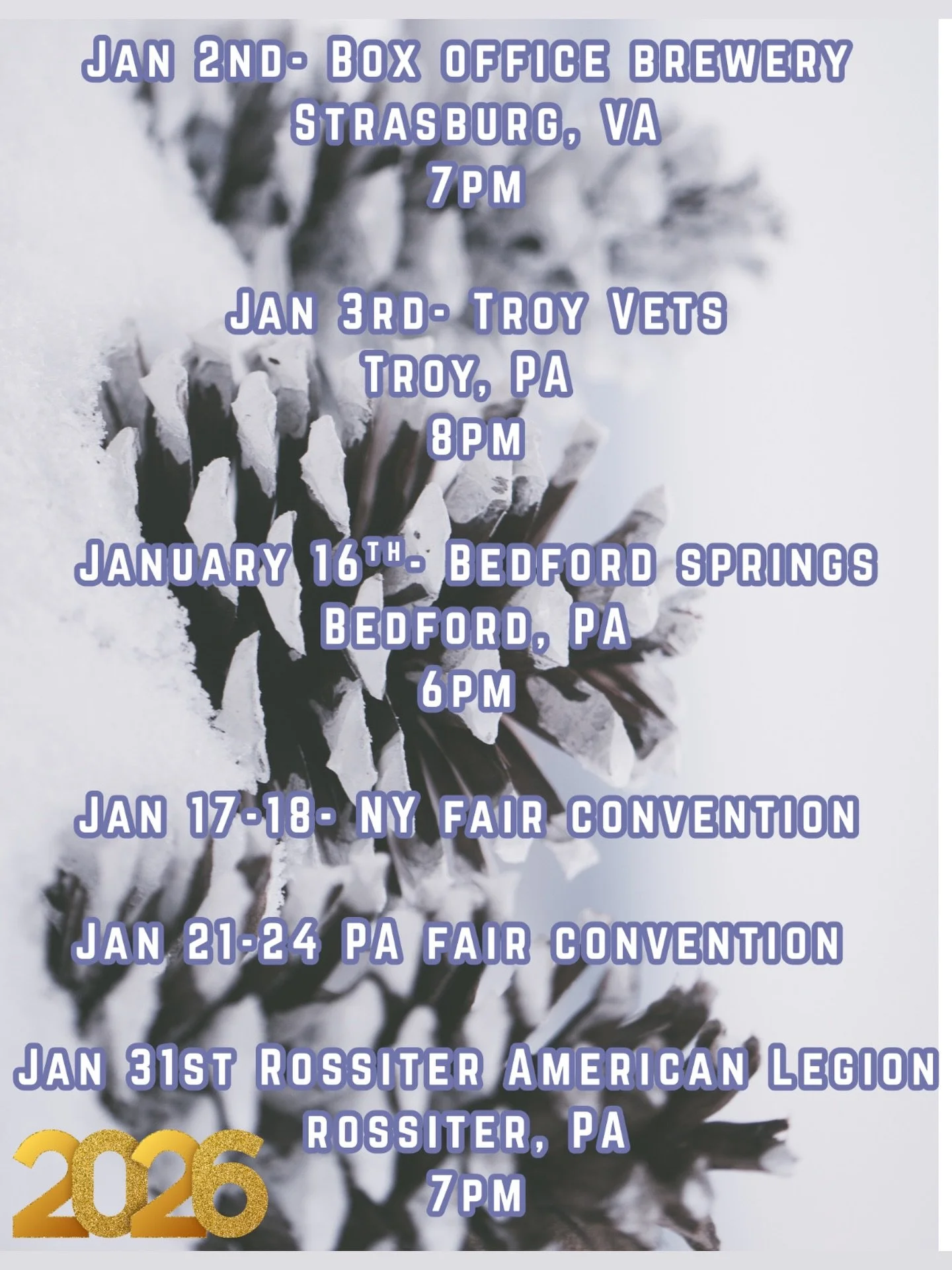 January schedule! Still some open weekend dates #livemusic #jan #2026