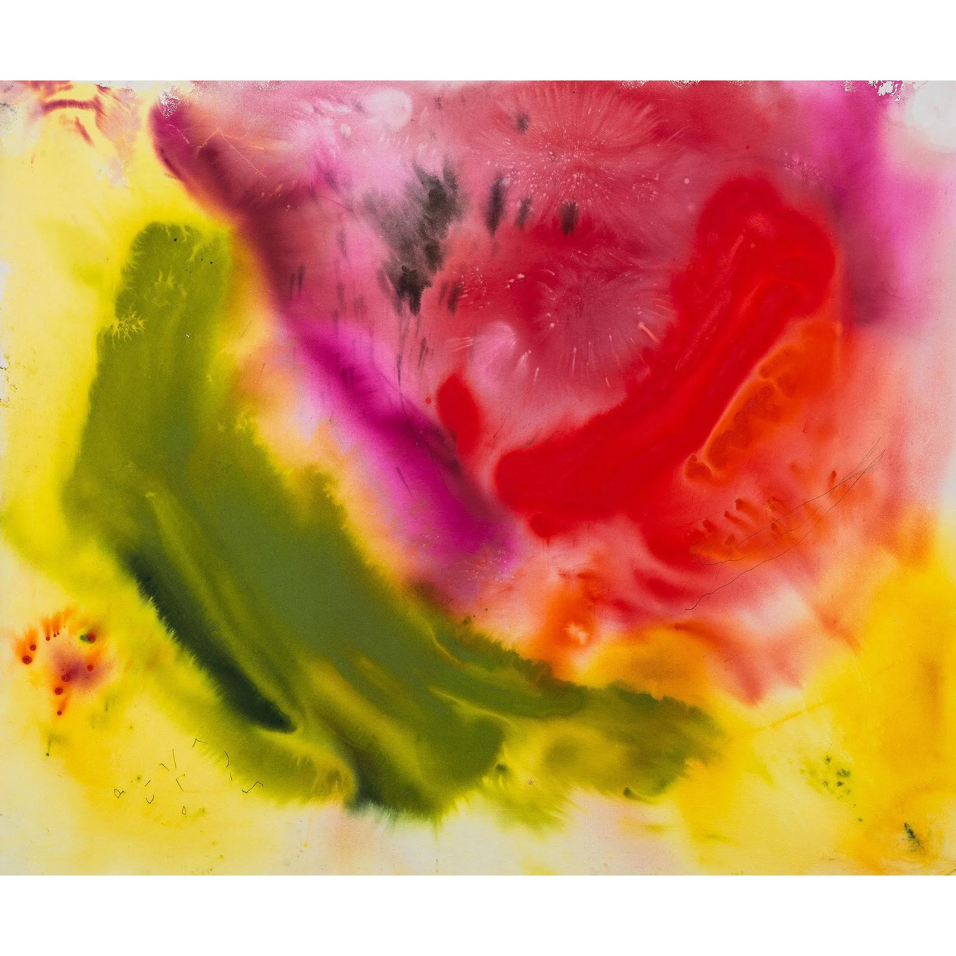 Poppy 62x78 copy 2.jpg