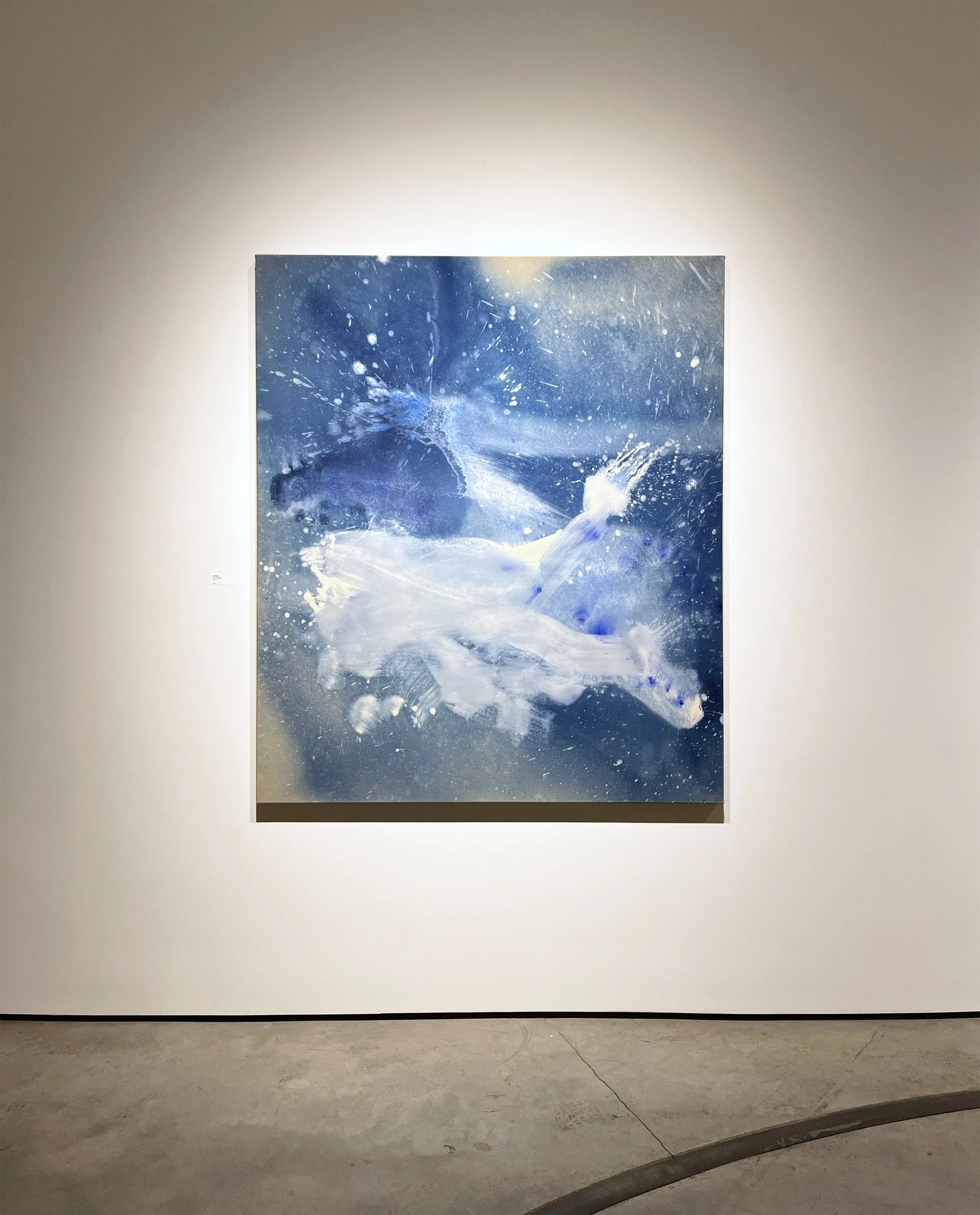 Installation Sky Noctilescent.jpg