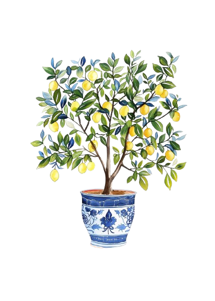 Lemon tree in a decorative blue and white pot