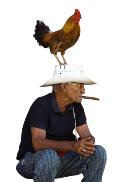 An elderly man wearing glasses and a blue polo shirt sitting with hands clasped. He has a white hat with a rooster perched on top of it.