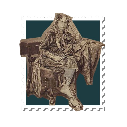 Culture Analysis Reports