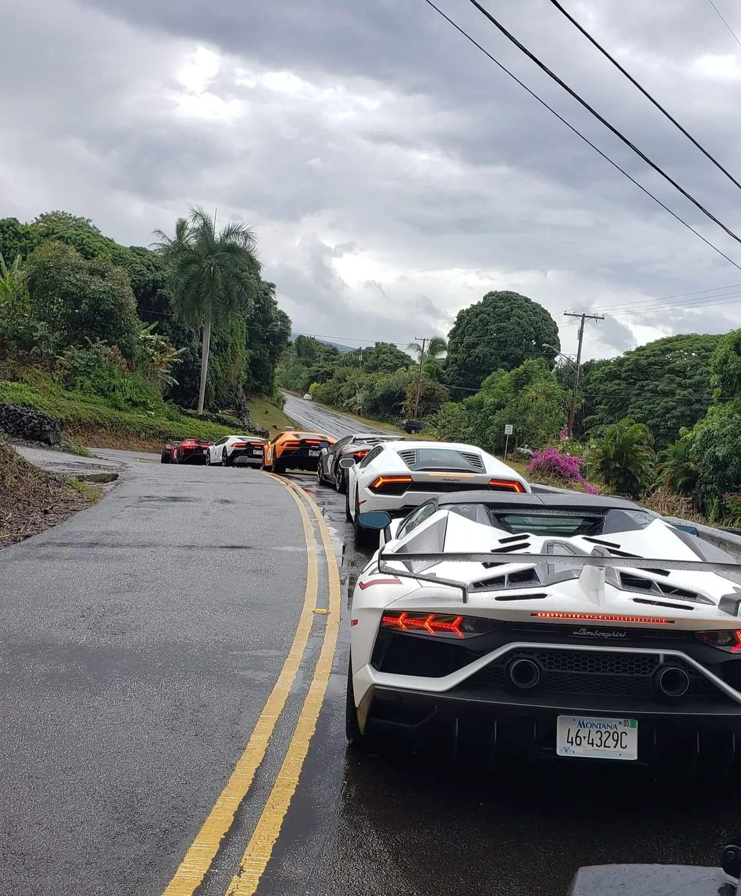 lambo (1).jpg