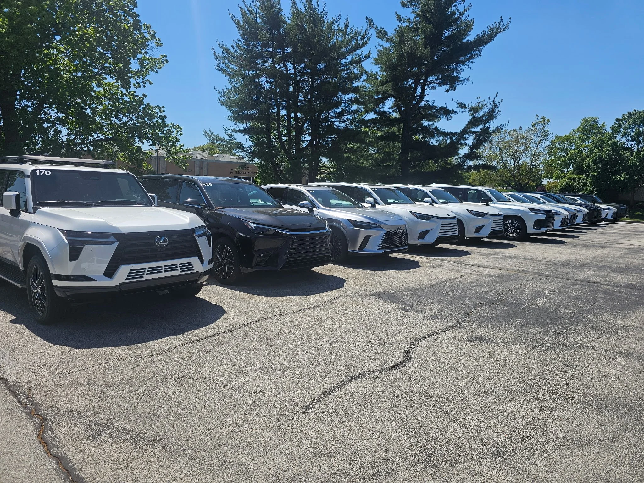 IMG_20260603_135745.jpg