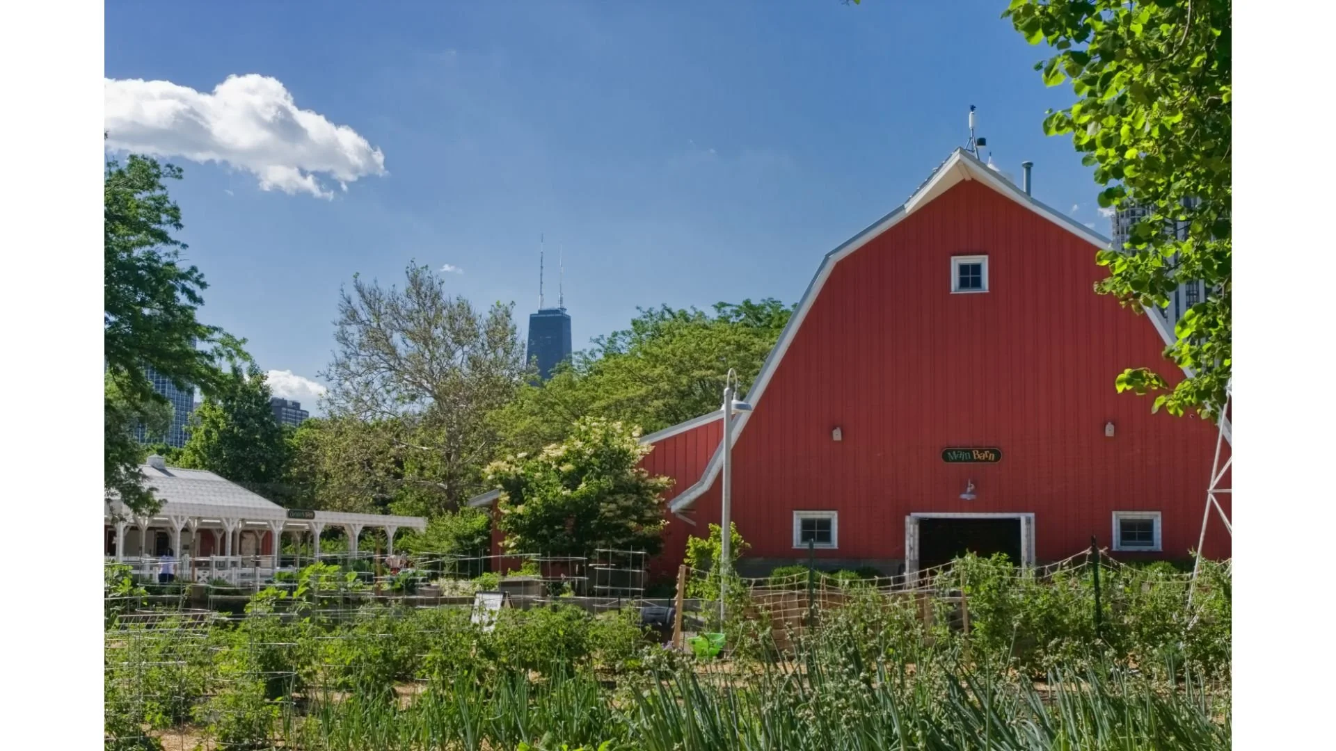 Exploring the Dynamic Lincoln Park Real Estate Market — The Ben Lalez Team