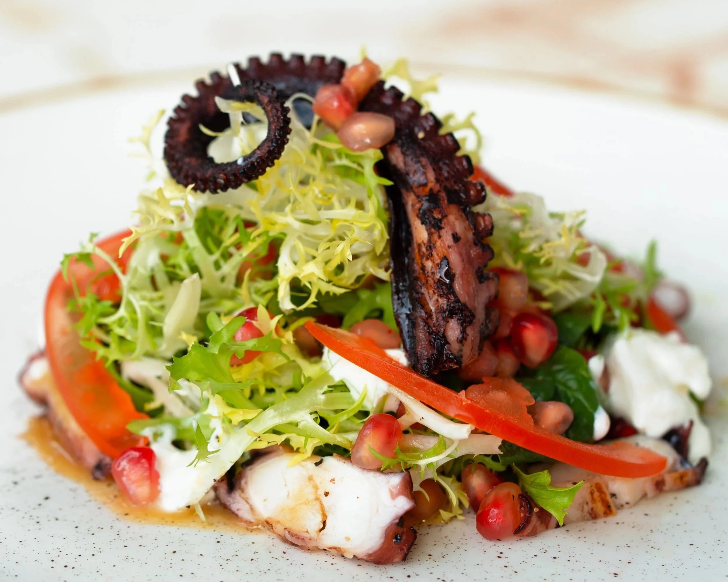 Pomegranate Octopus Salad