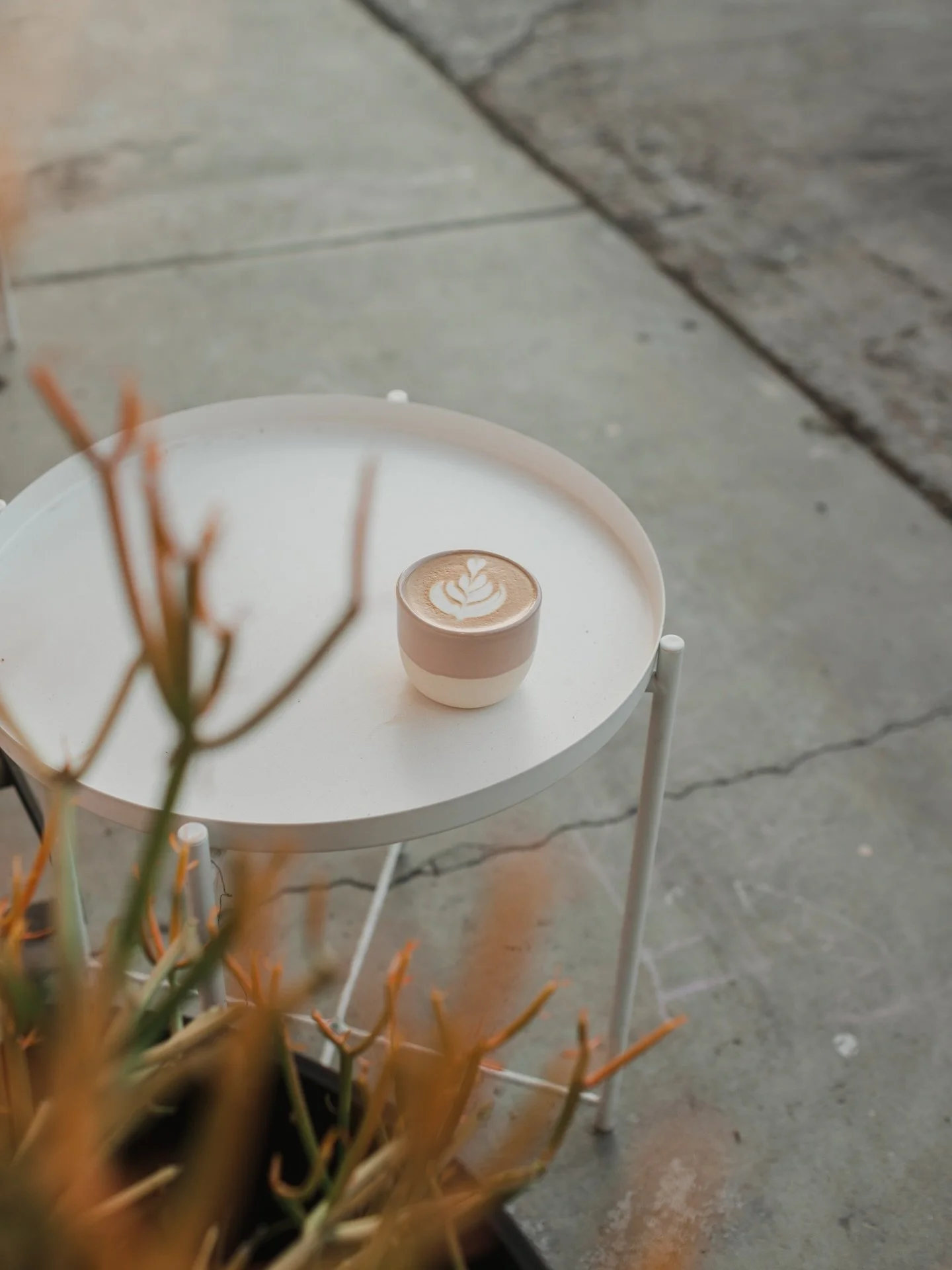 Monday morning, the sun is peaking out, and we have a delightful sap &amp; spice waiting for you! This beverage is a combo of maple syrup, cardamom, and ango spice! A perfect morning coffee!