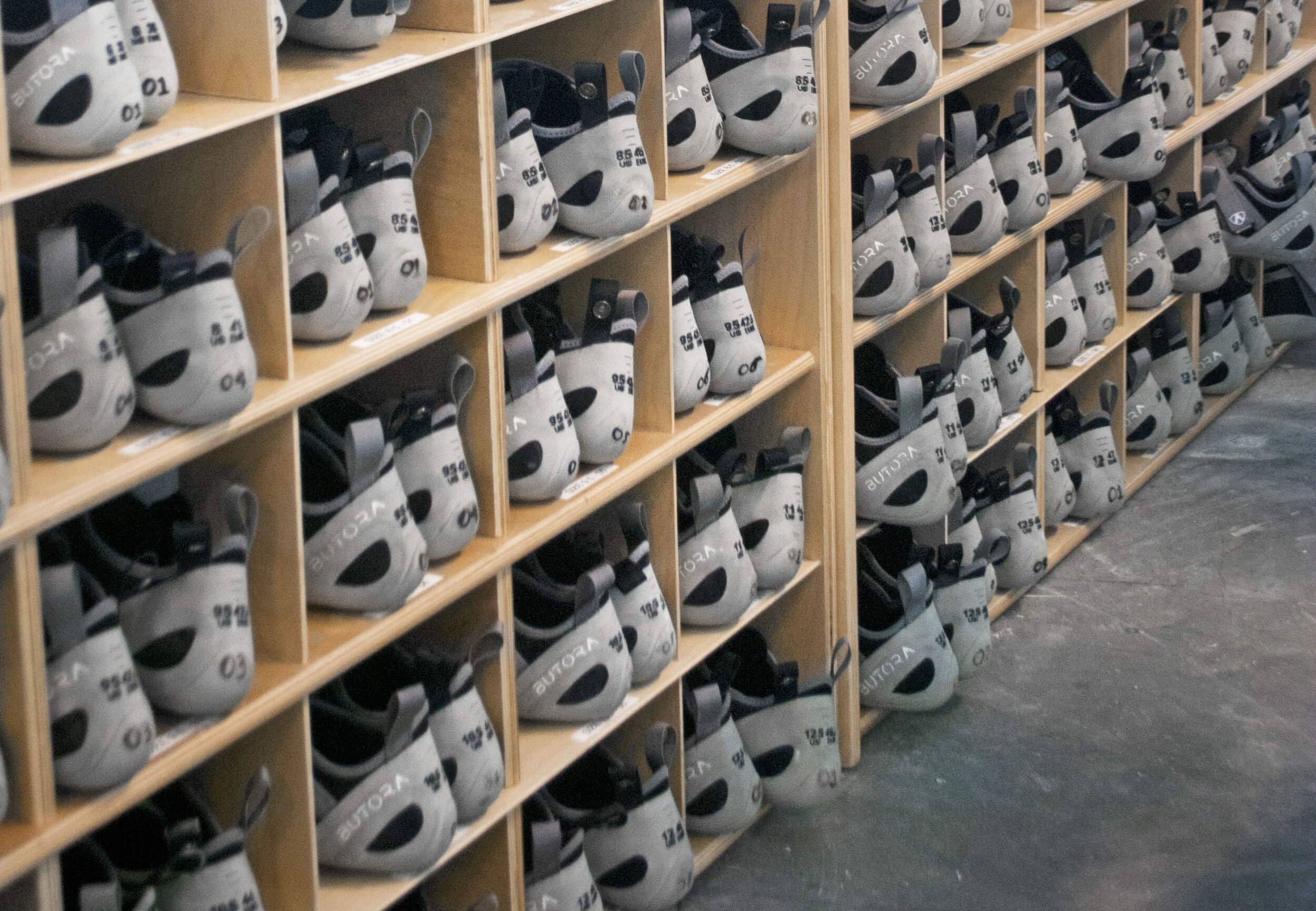 DSC_0991_shoes_crop3.jpg