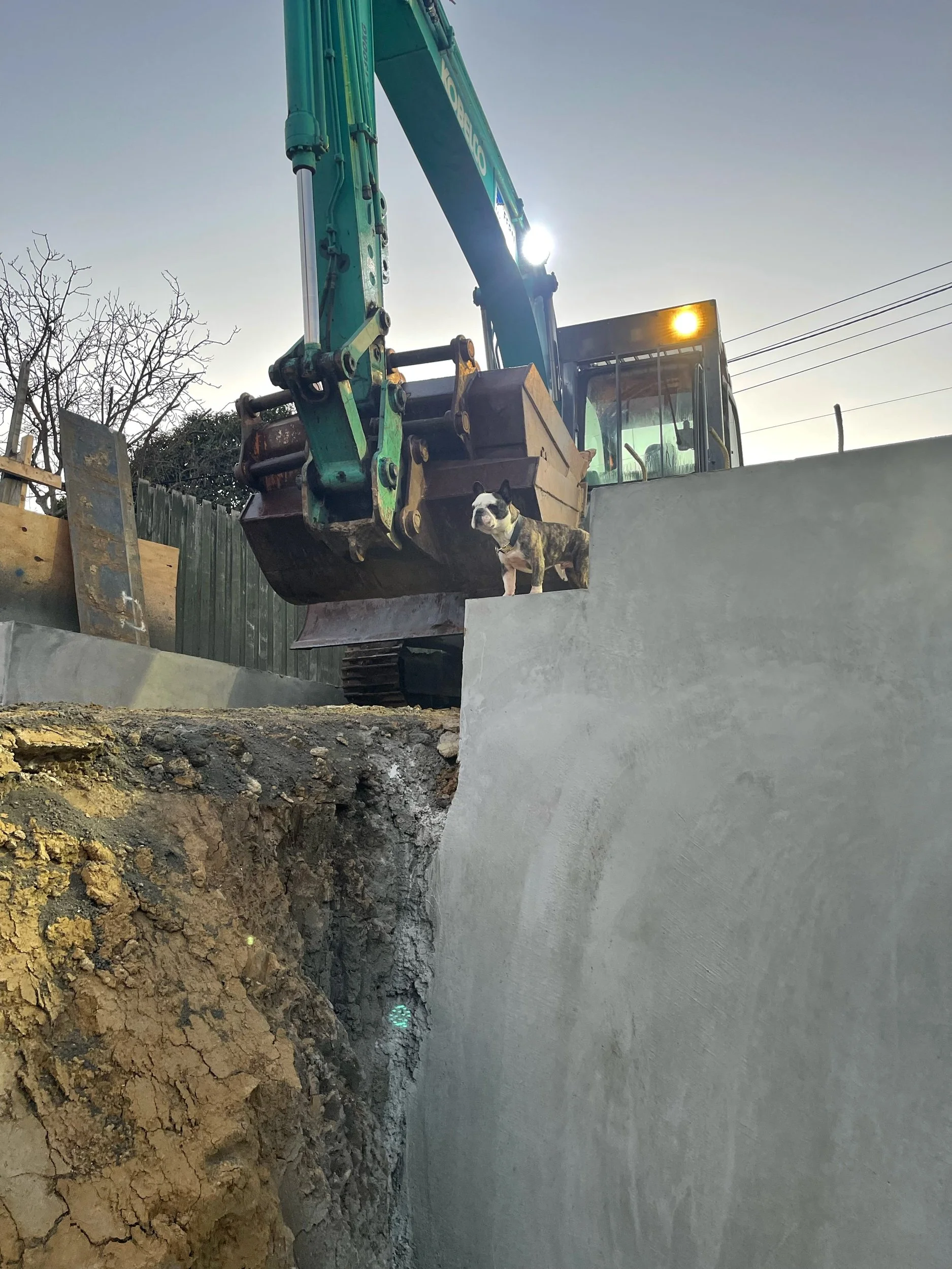 Edgar Street, Glen iris 