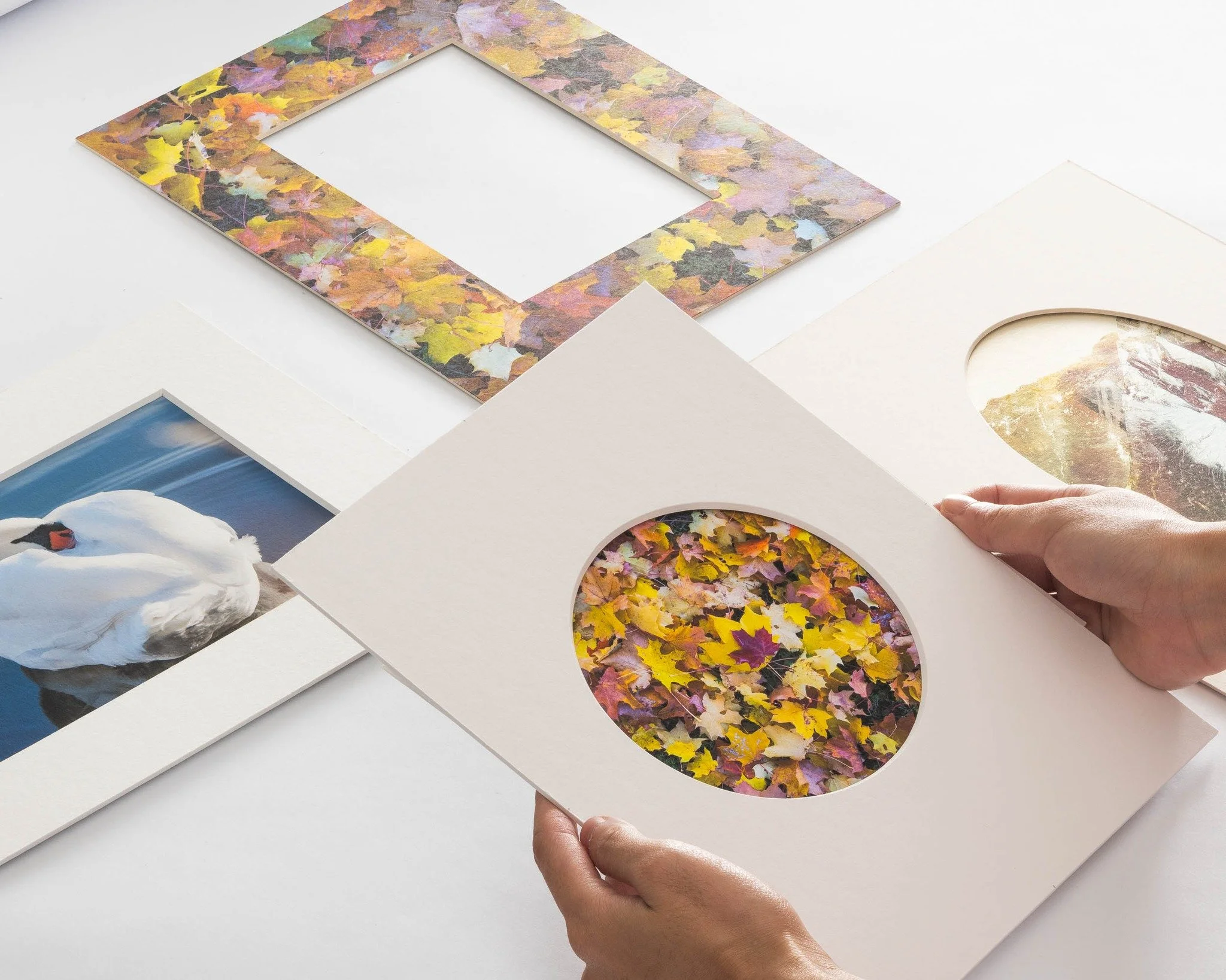 Introducing new options to mat your works: oval, circle, and decorative printed beveled passepartout. ✨

A simple change in shape can bring a new focus to your art, offering a fresh alternative to plain rectangular windows.

For more information abou