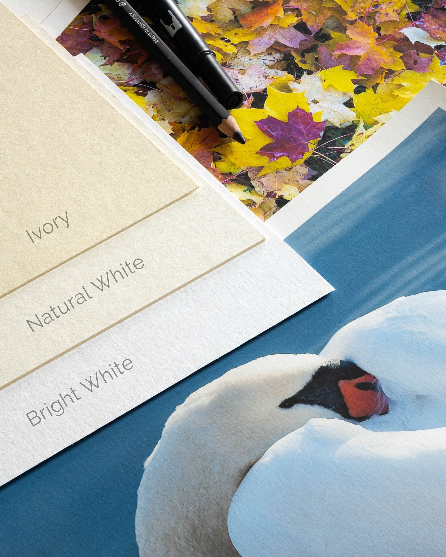 Opened up our catalog of Hahnem&uuml;hle museum mats, total of three choices, from warmest to white; Ivory, Natural White, and Bright White. 

All three come in 2mm thickness, made of 100% cotton. Perfect for artworks you want to have least chance of