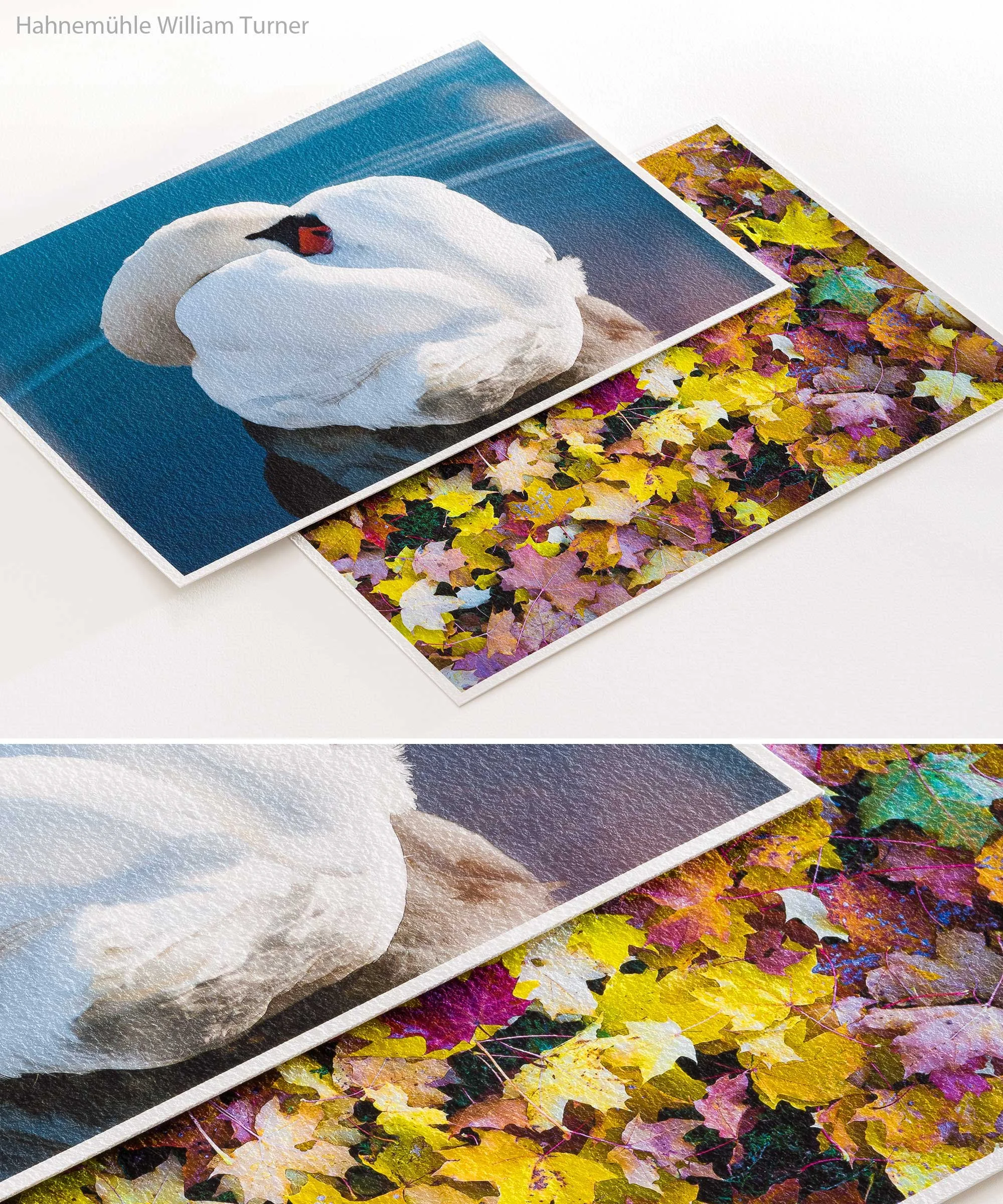 Giclée Printing — GENTA Art Prints