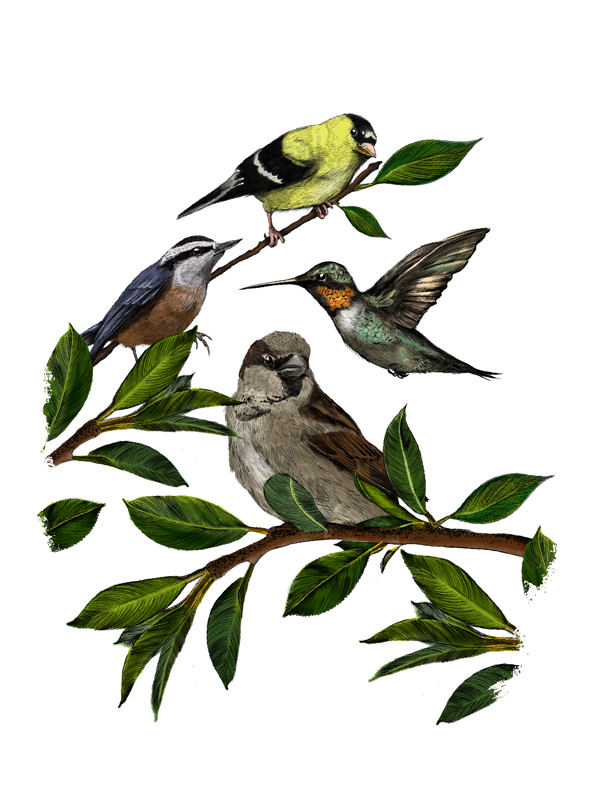 Untitled_Artwork 9.png