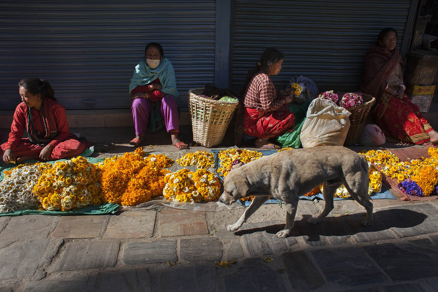 Nepal Earthquake 2015