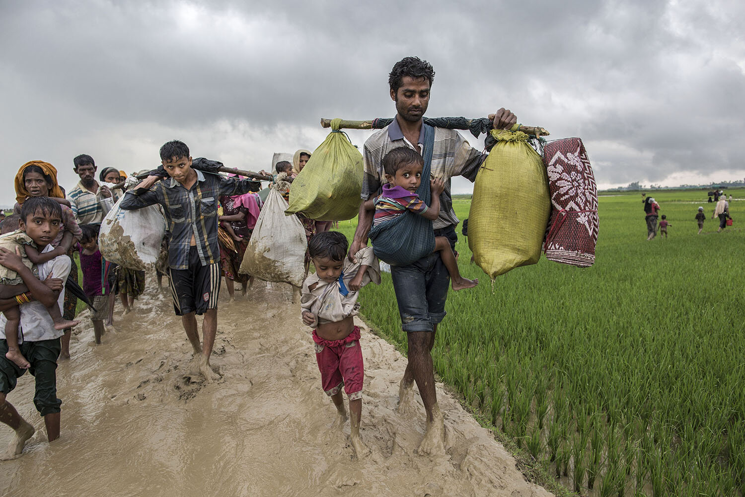 Rohingya Refugees in Bangladesh