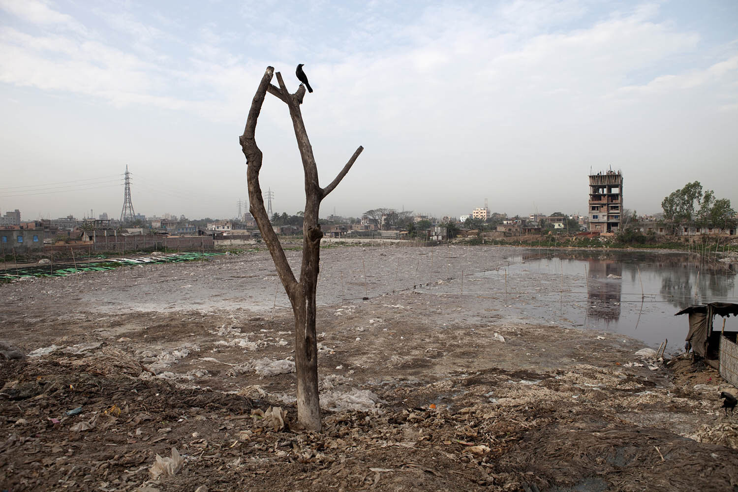 Industrial Pollution in Bangladesh_04.jpg