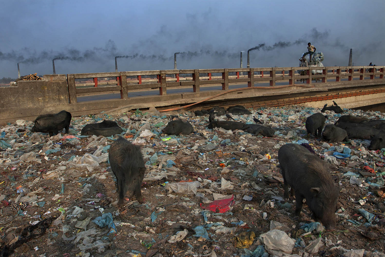 Industrial Pollution in Bangladesh_10.jpg