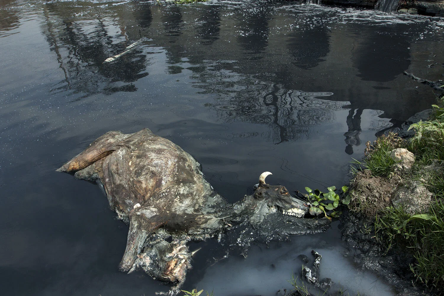 Industrial Pollution in Bangladesh_15.jpg
