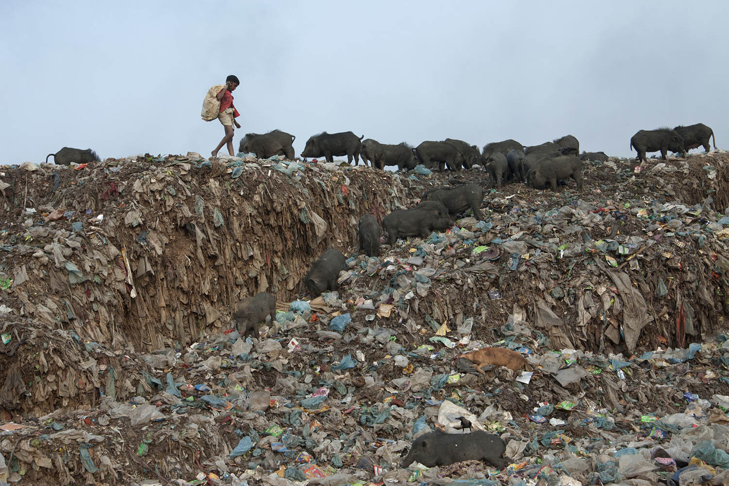 Industrial Pollution in Bangladesh_22.jpg