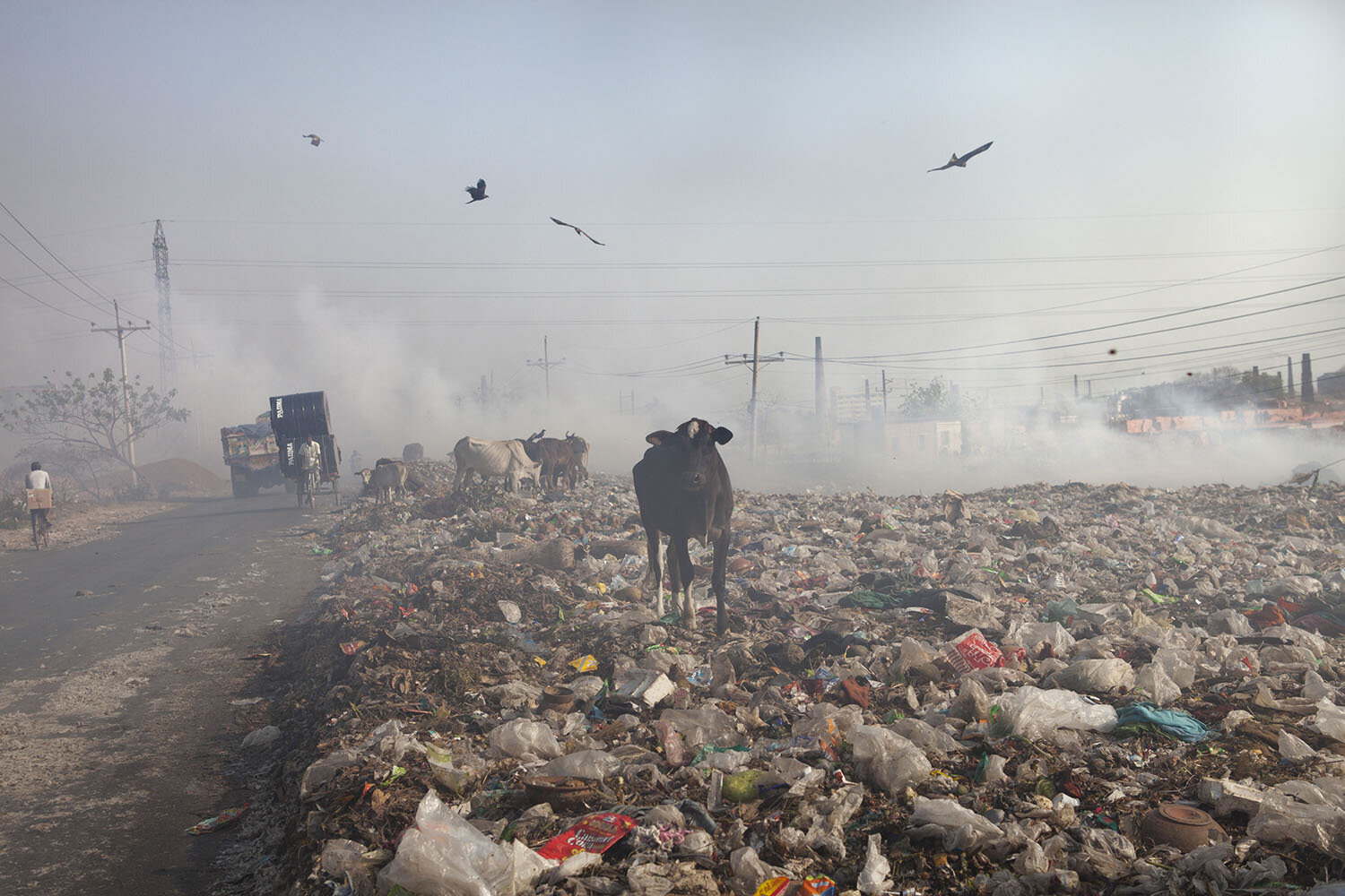 Industrial Pollution in Bangladesh_26.jpg