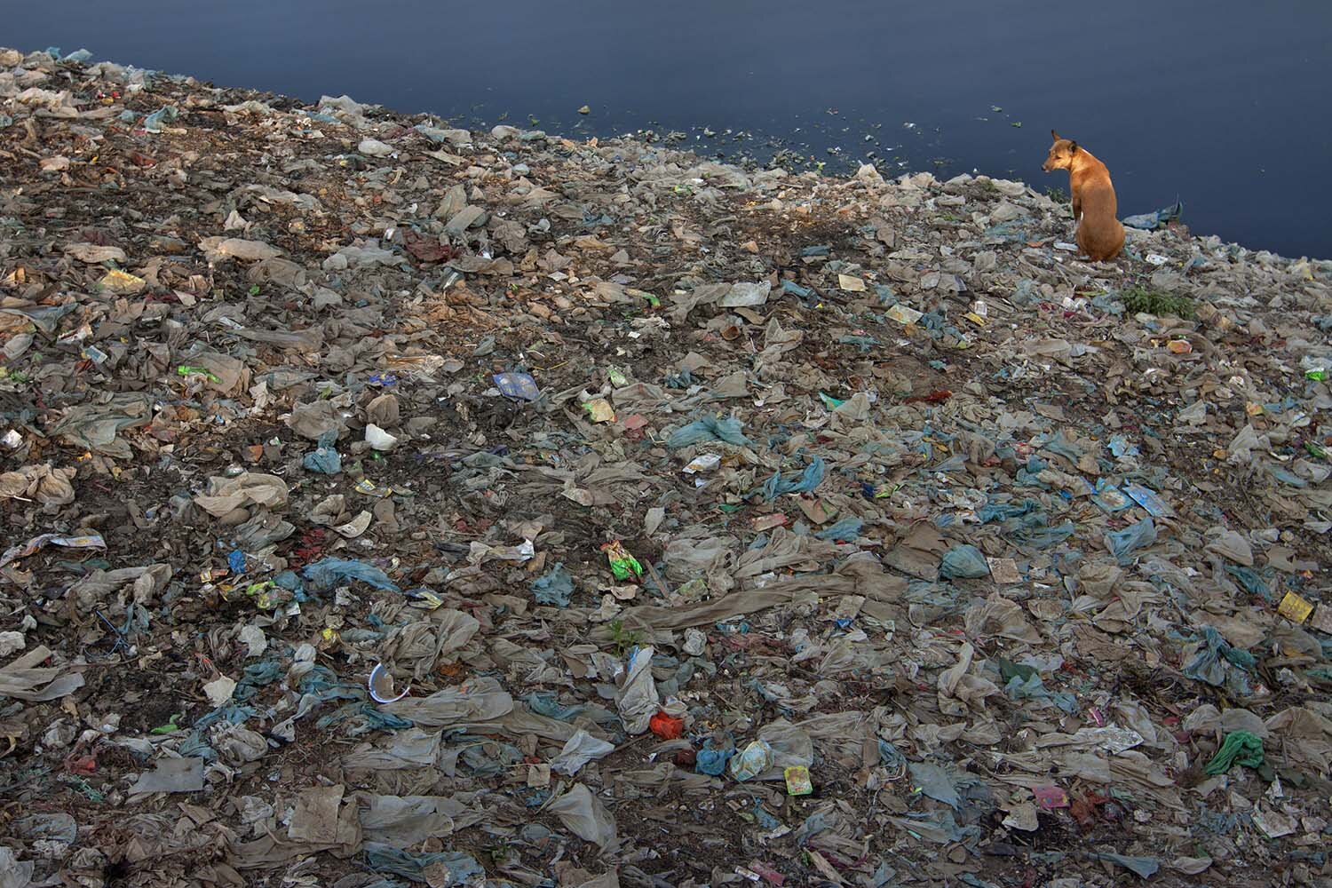 Industrial Pollution in Bangladesh_32.jpg