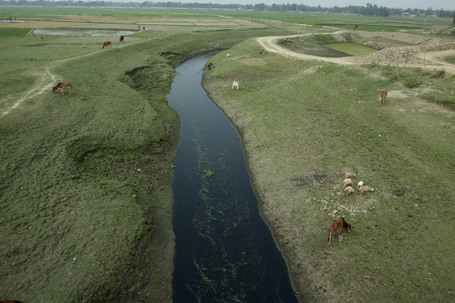 Industrial Pollution in Bangladesh_34.jpg