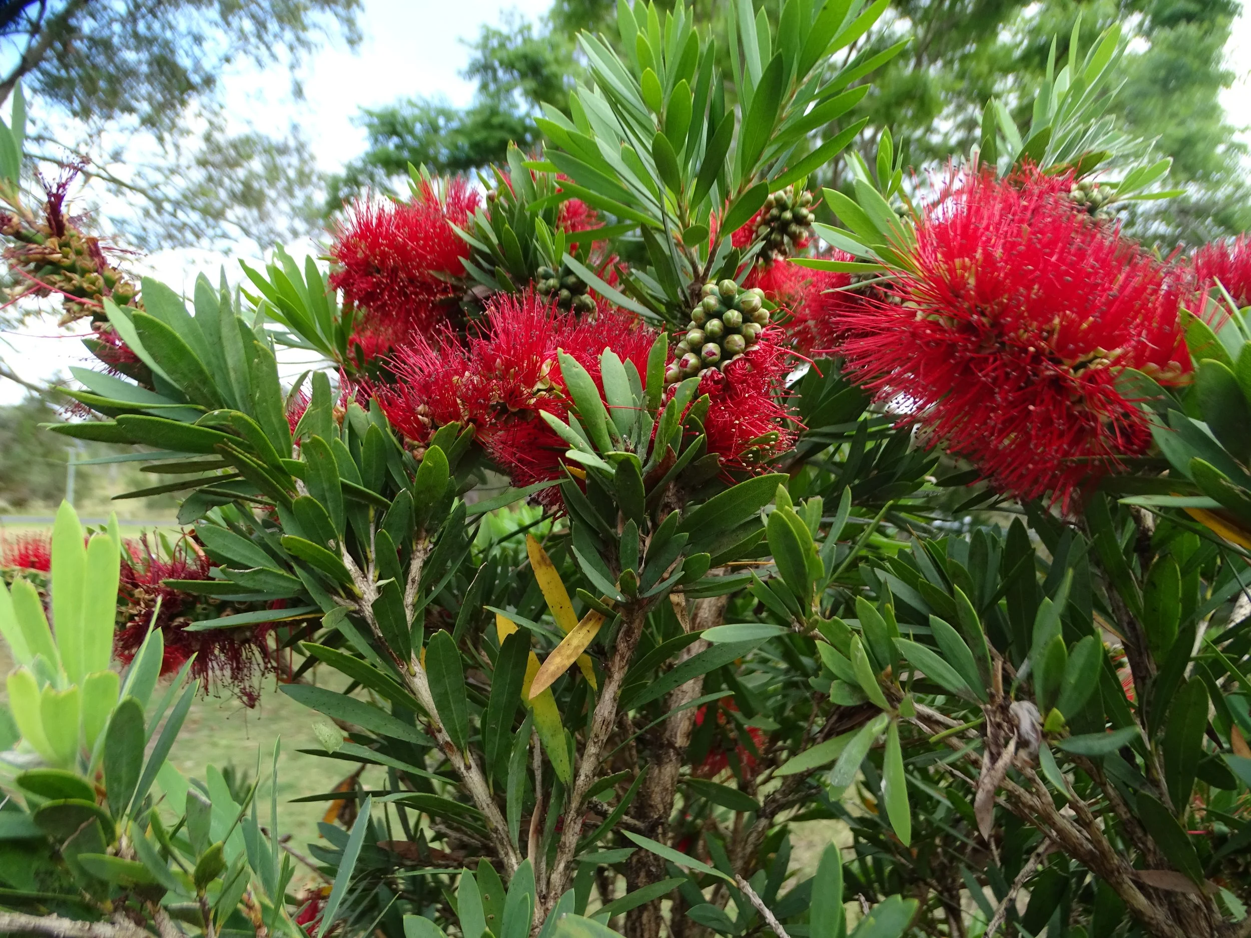 Supporting Ourselves Through Sadness — Expansive Happiness