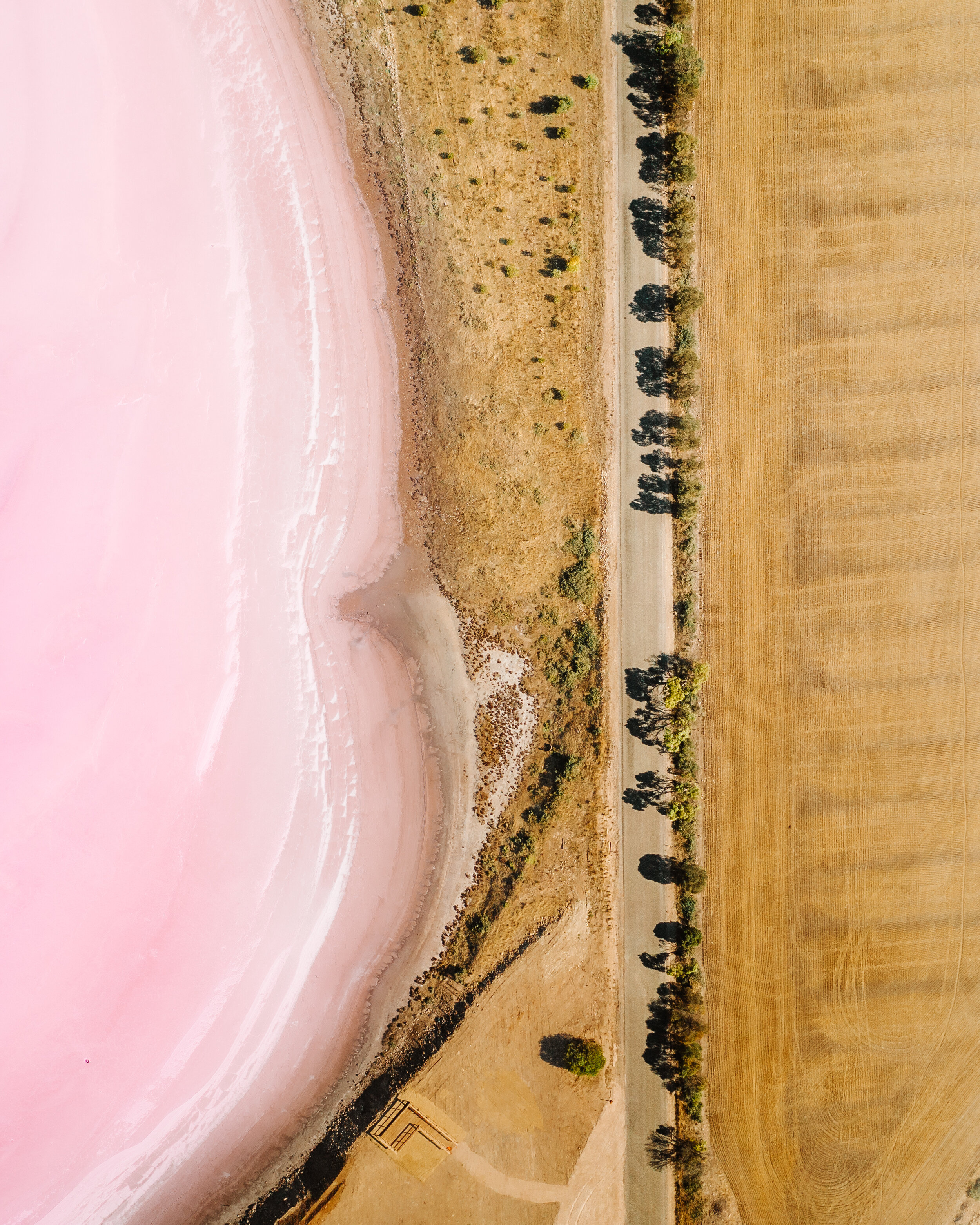 Drone Pink Lake.jpg