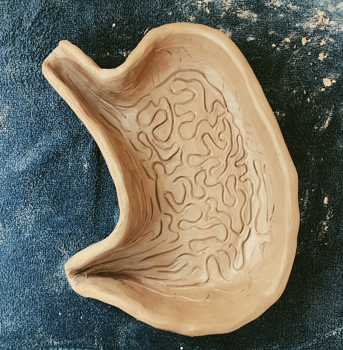 Stomach Earthenware