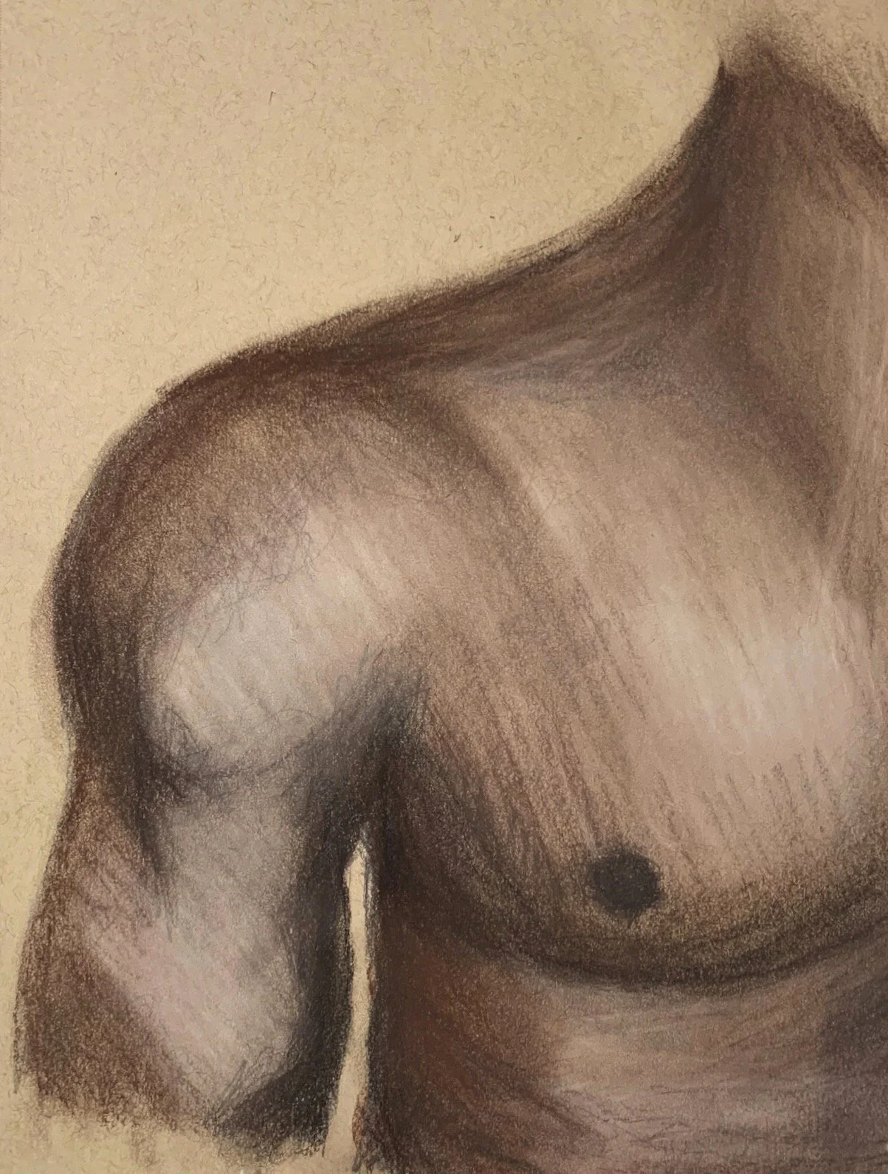 "Man's Chest". Conte and Charcoal on Toned Paper. April 2020.