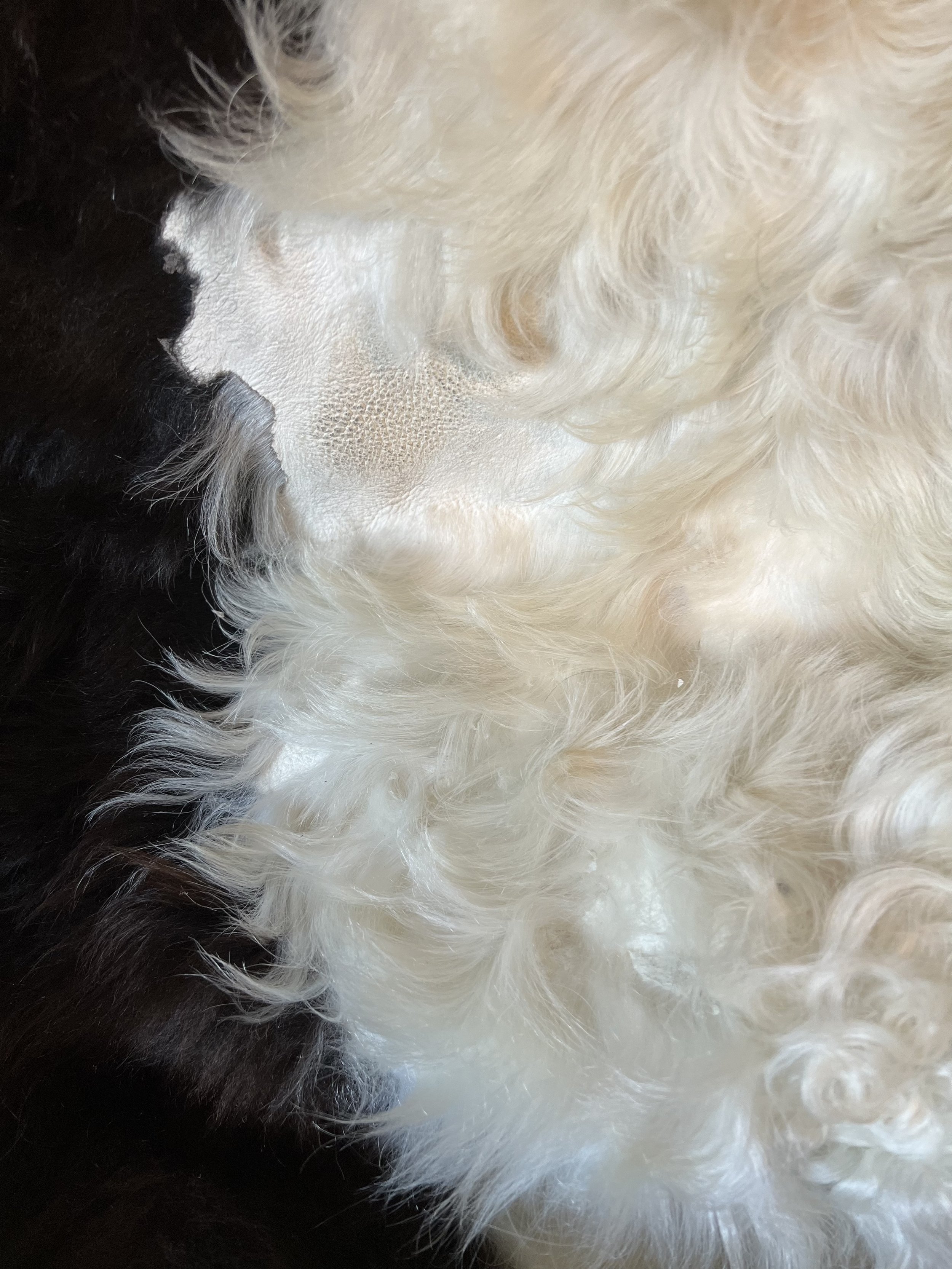 image00013.jpeg