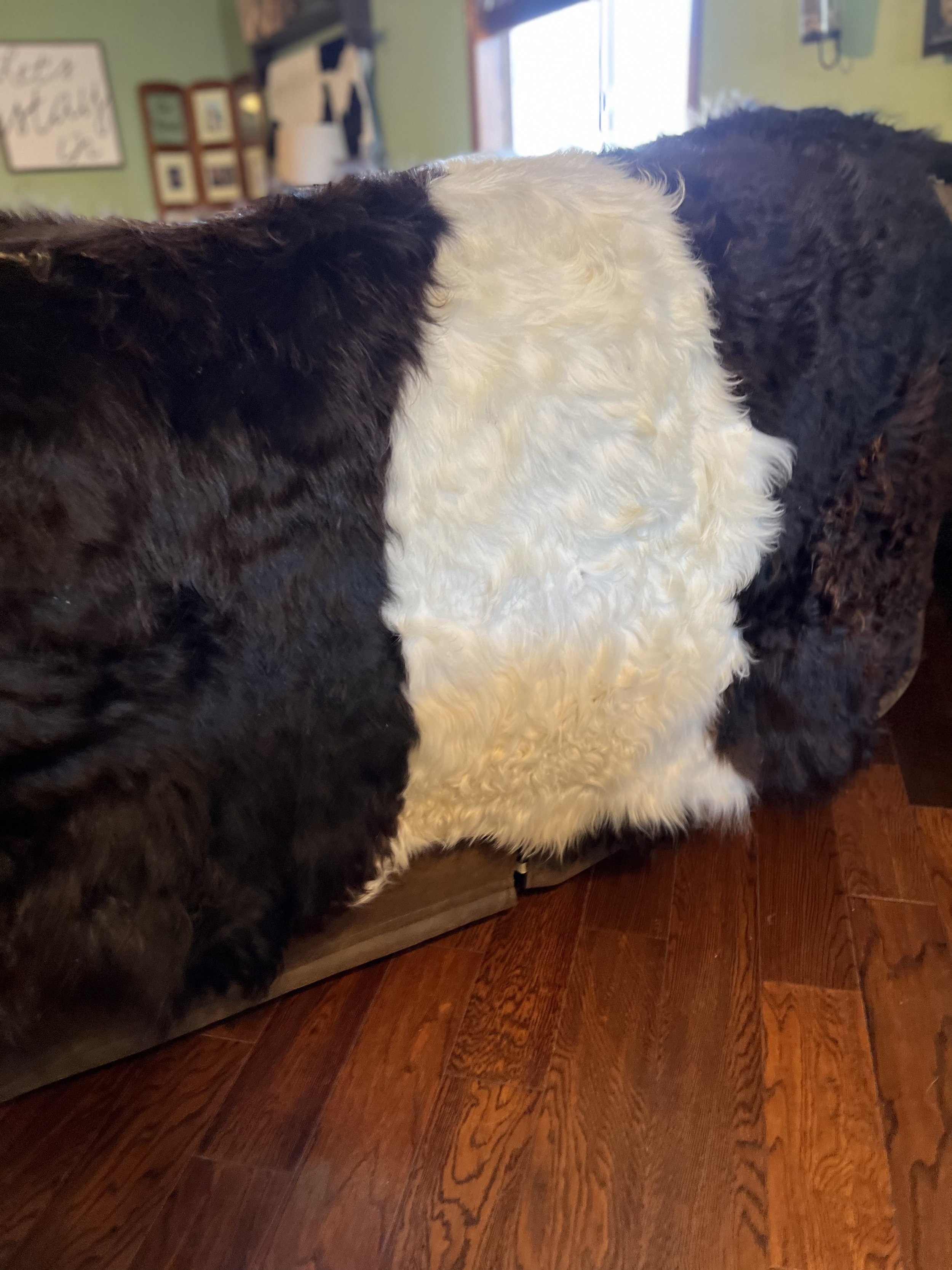 image00019.jpeg