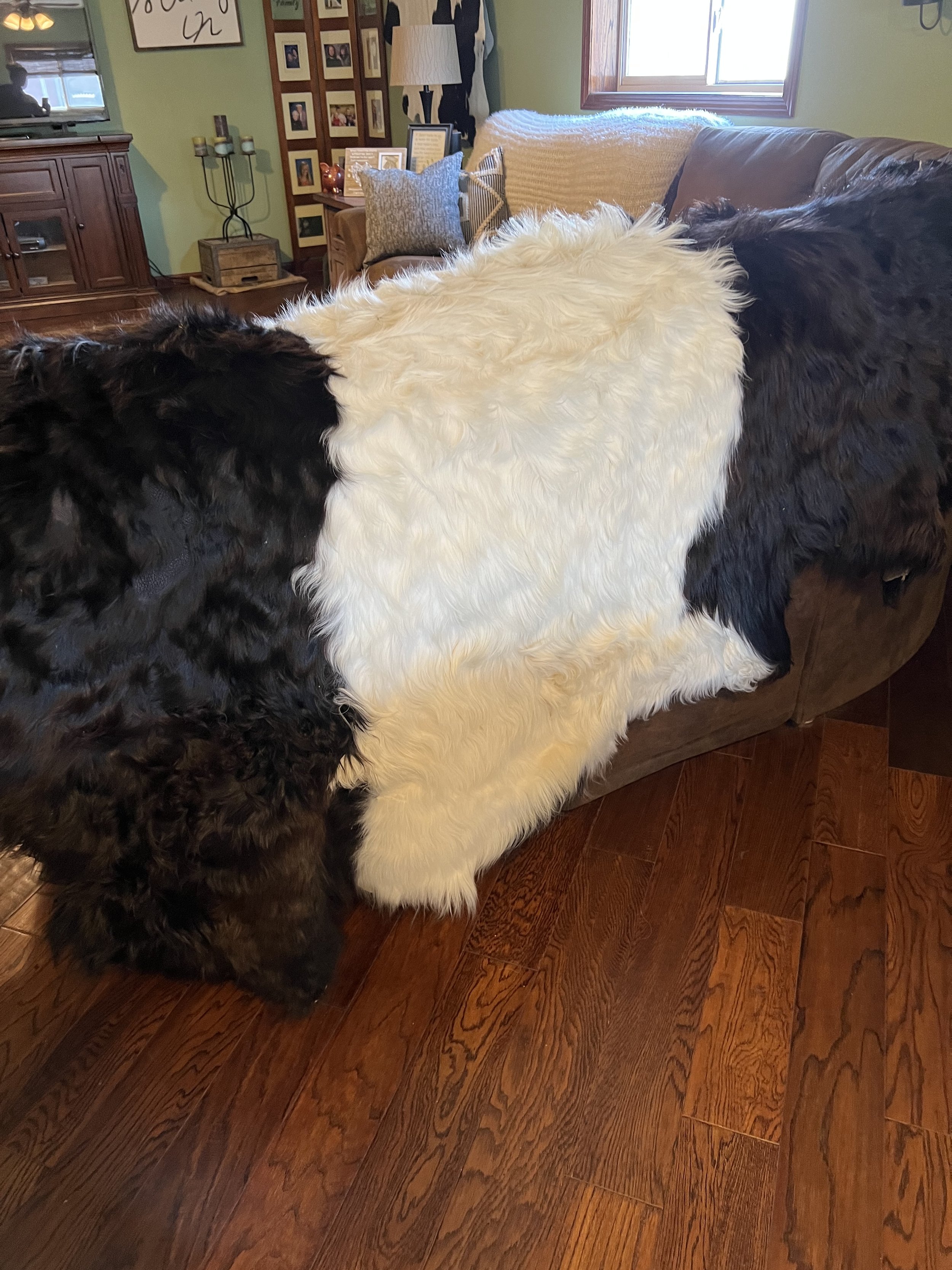 image00022.jpeg