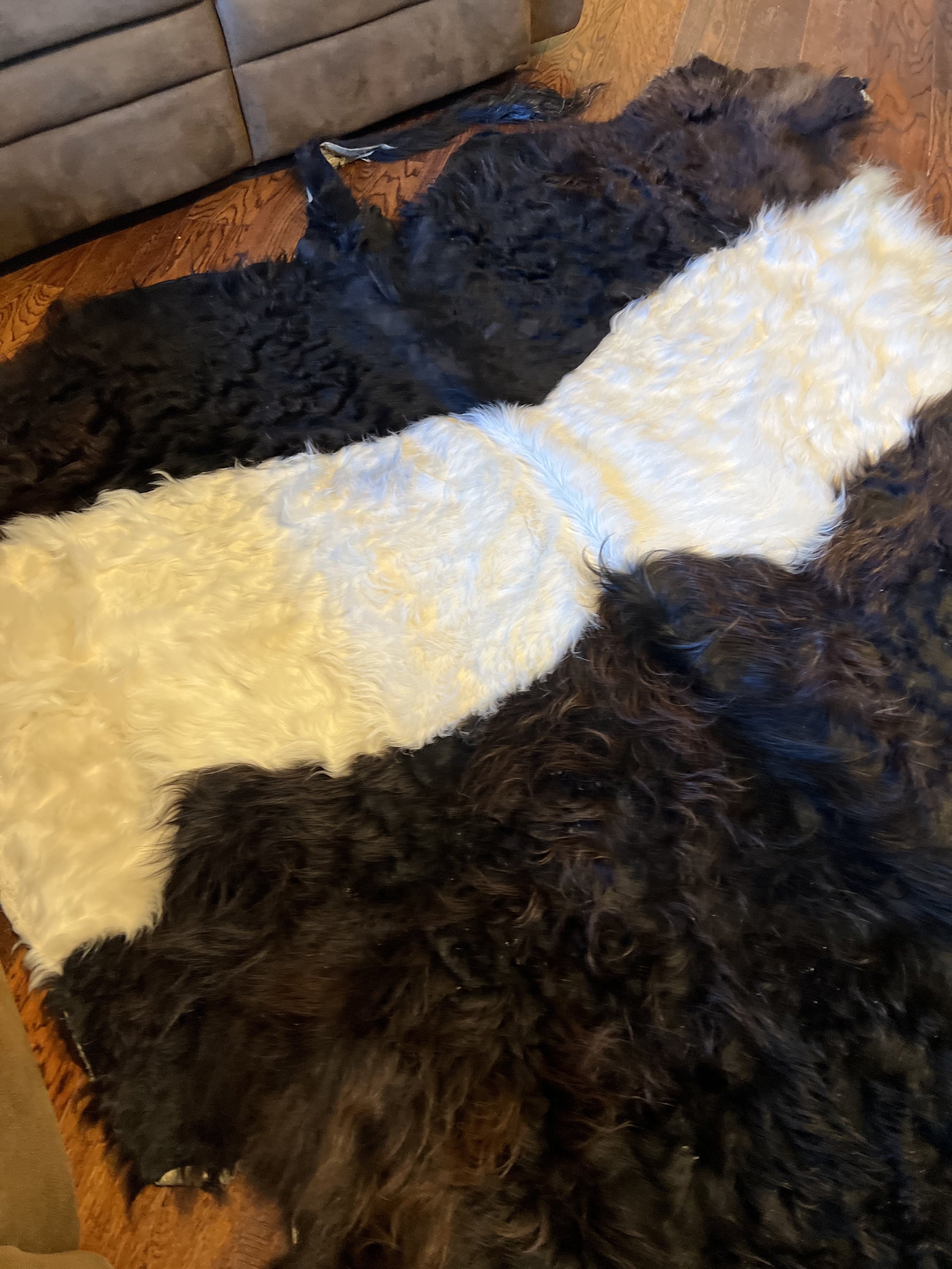 image00007.jpeg
