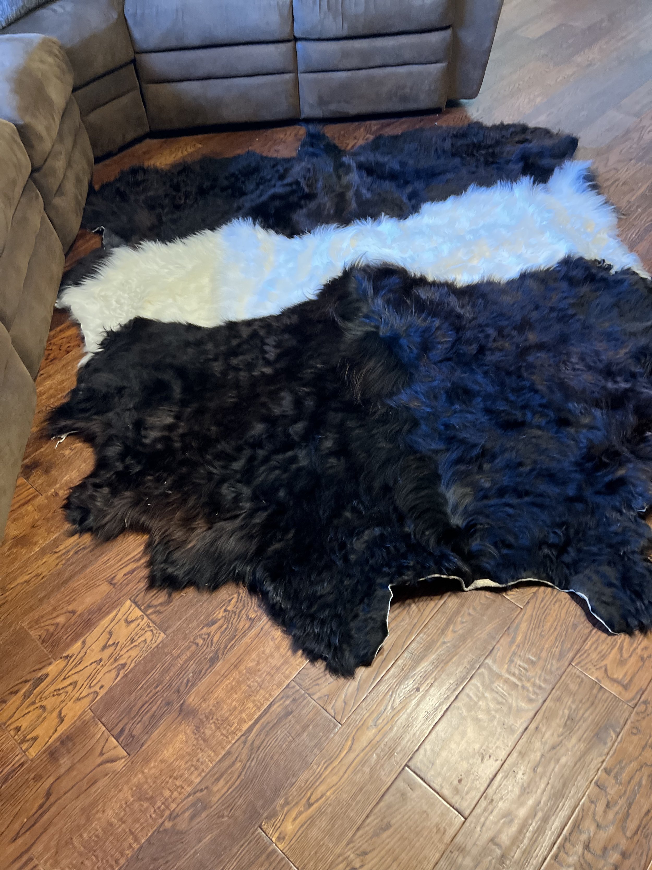 image00009.jpeg