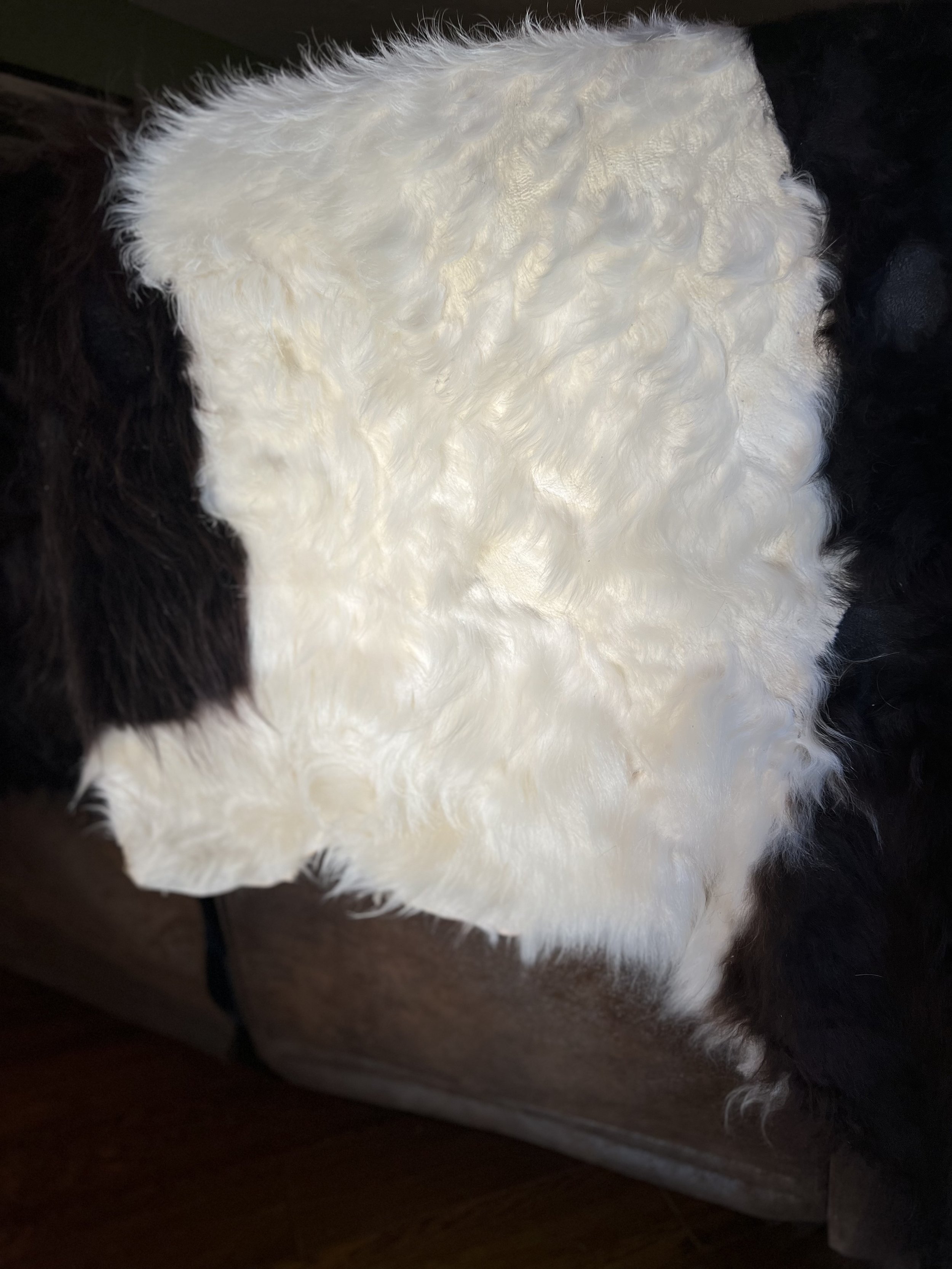 image00019.jpeg