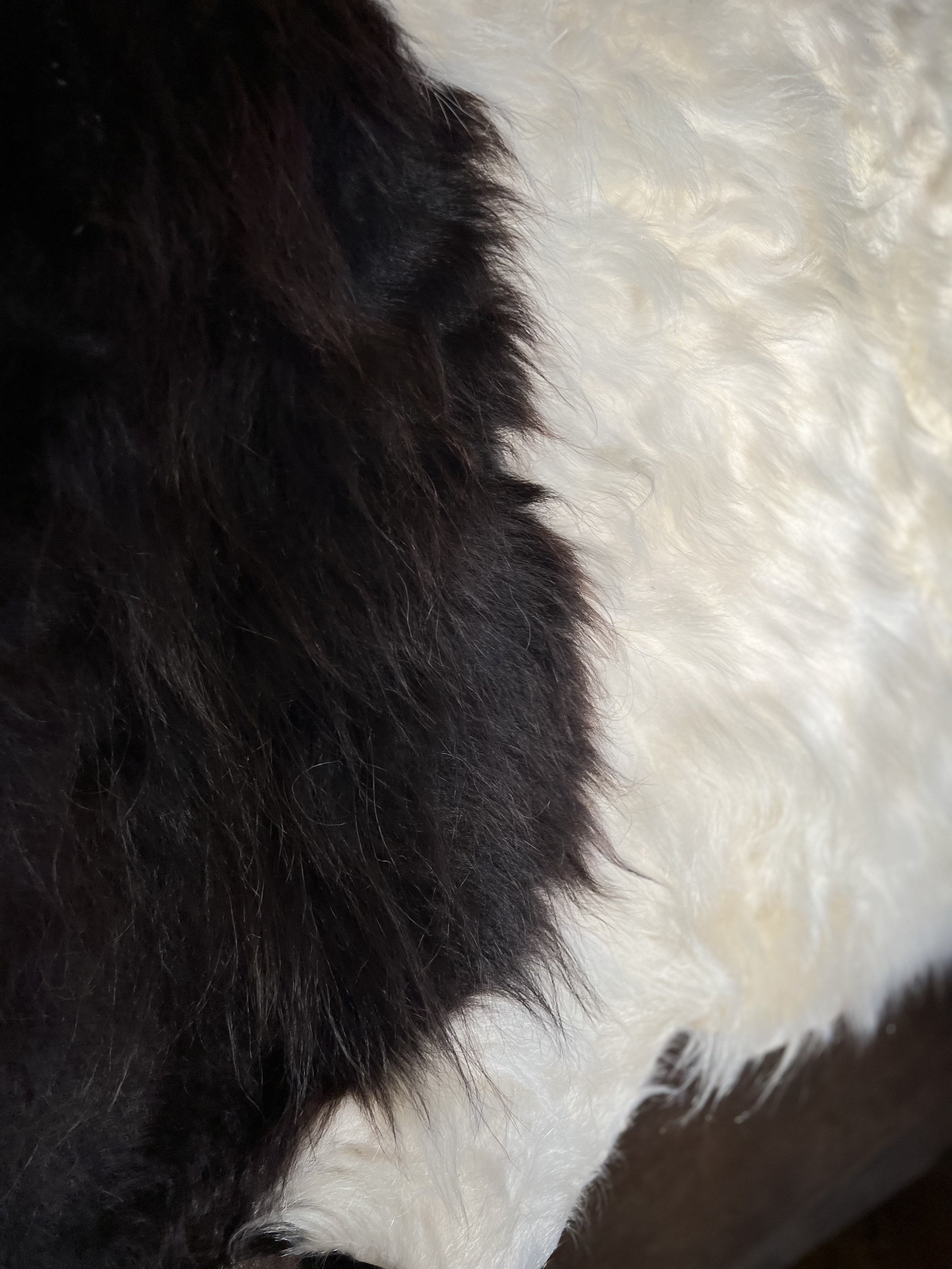 image00022.jpeg