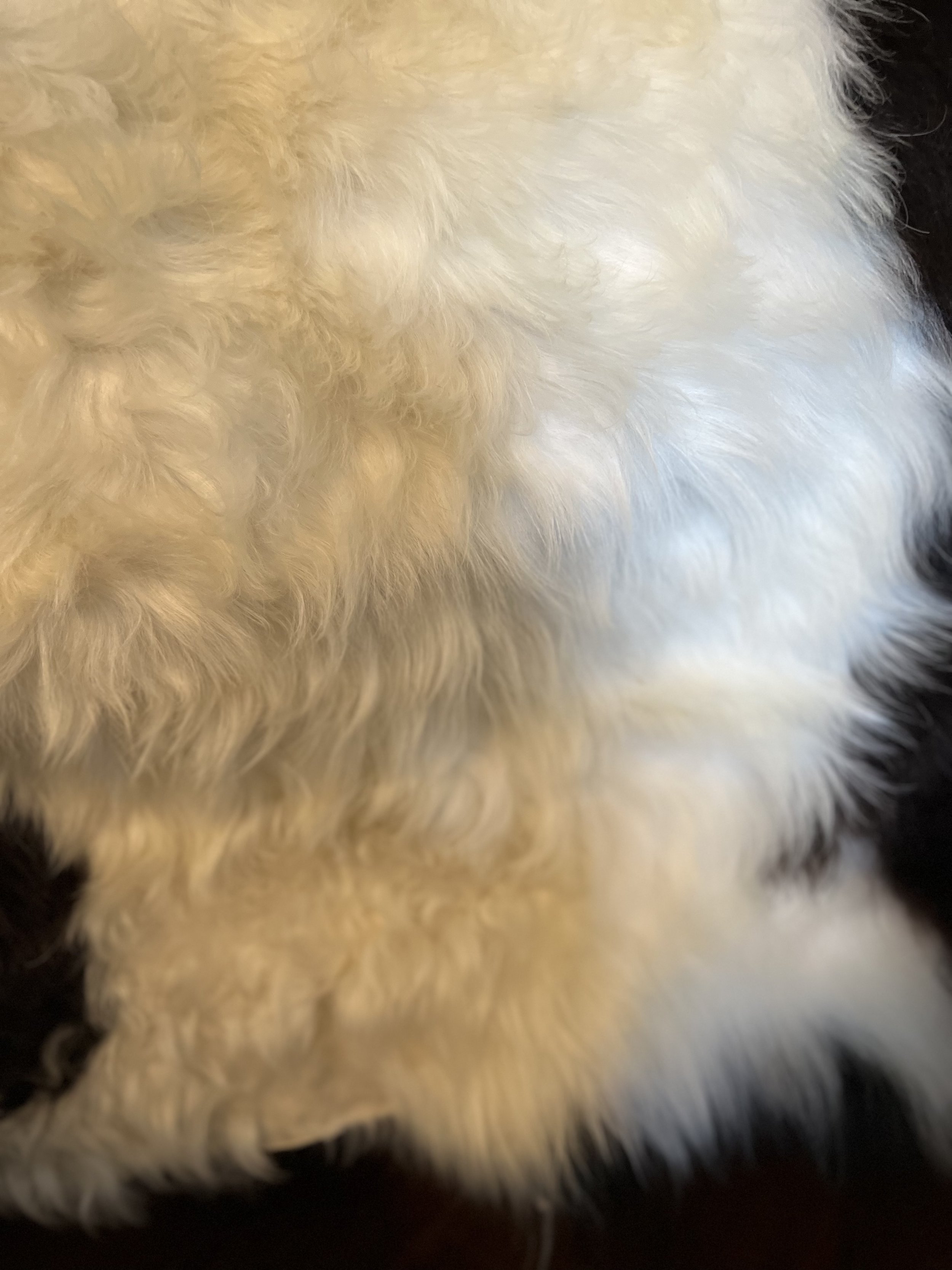 image00025.jpeg