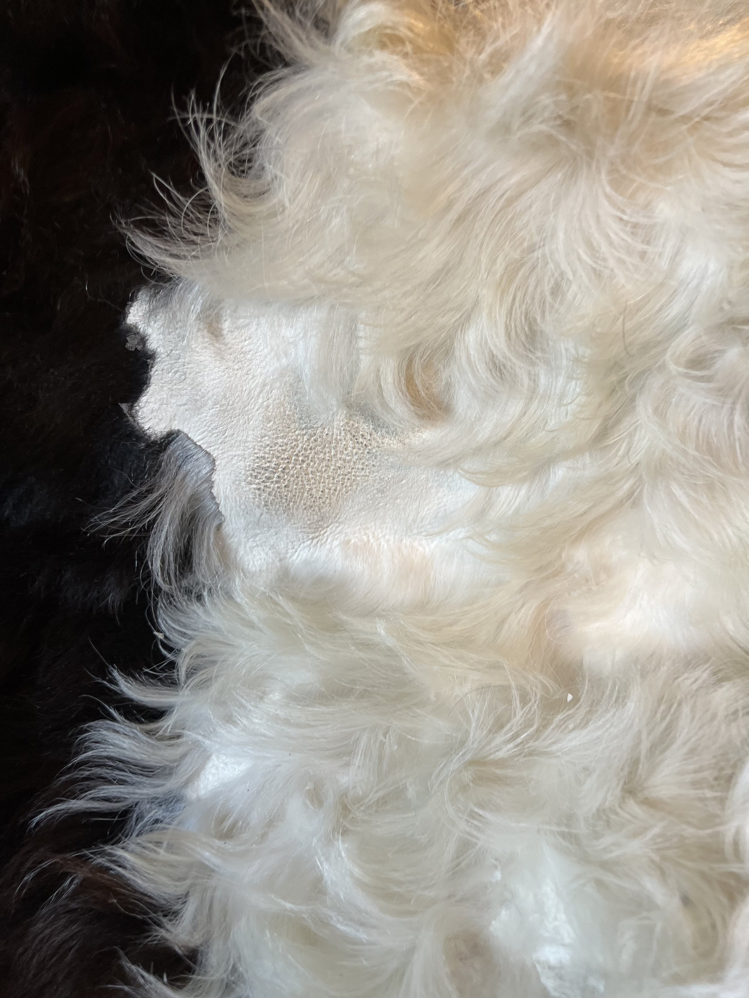 image00014.jpeg