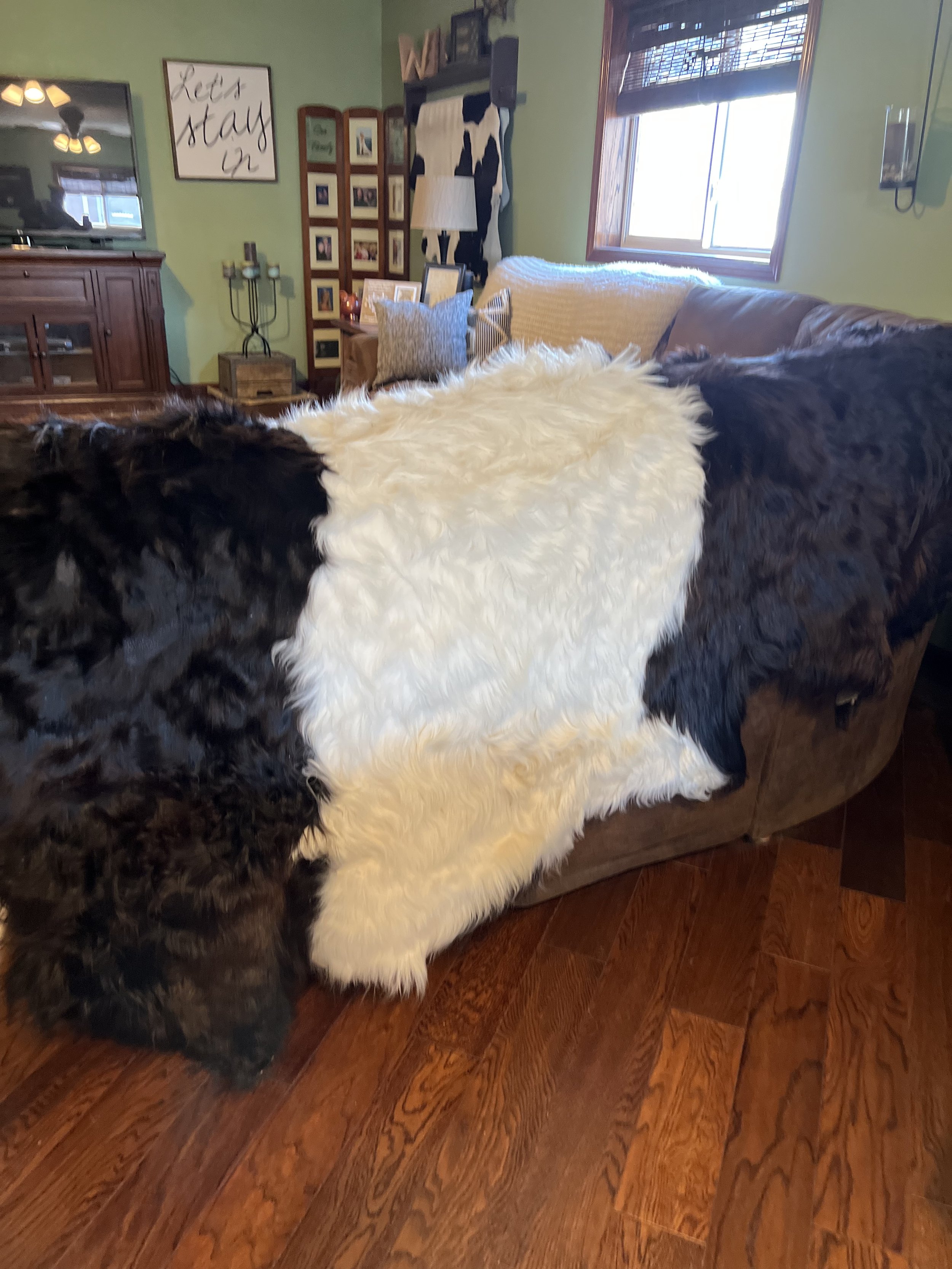 image00019.jpeg