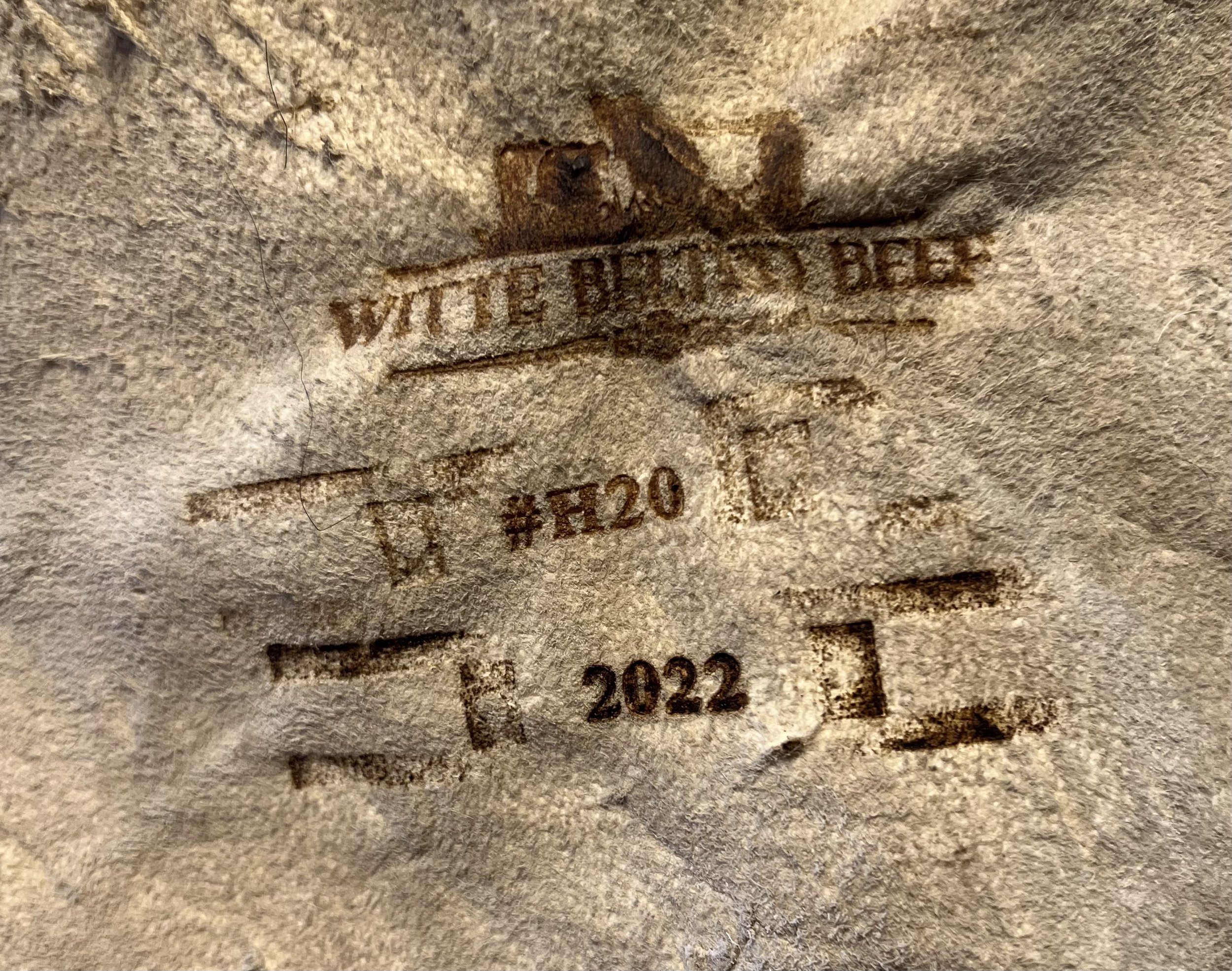 image00014.jpeg